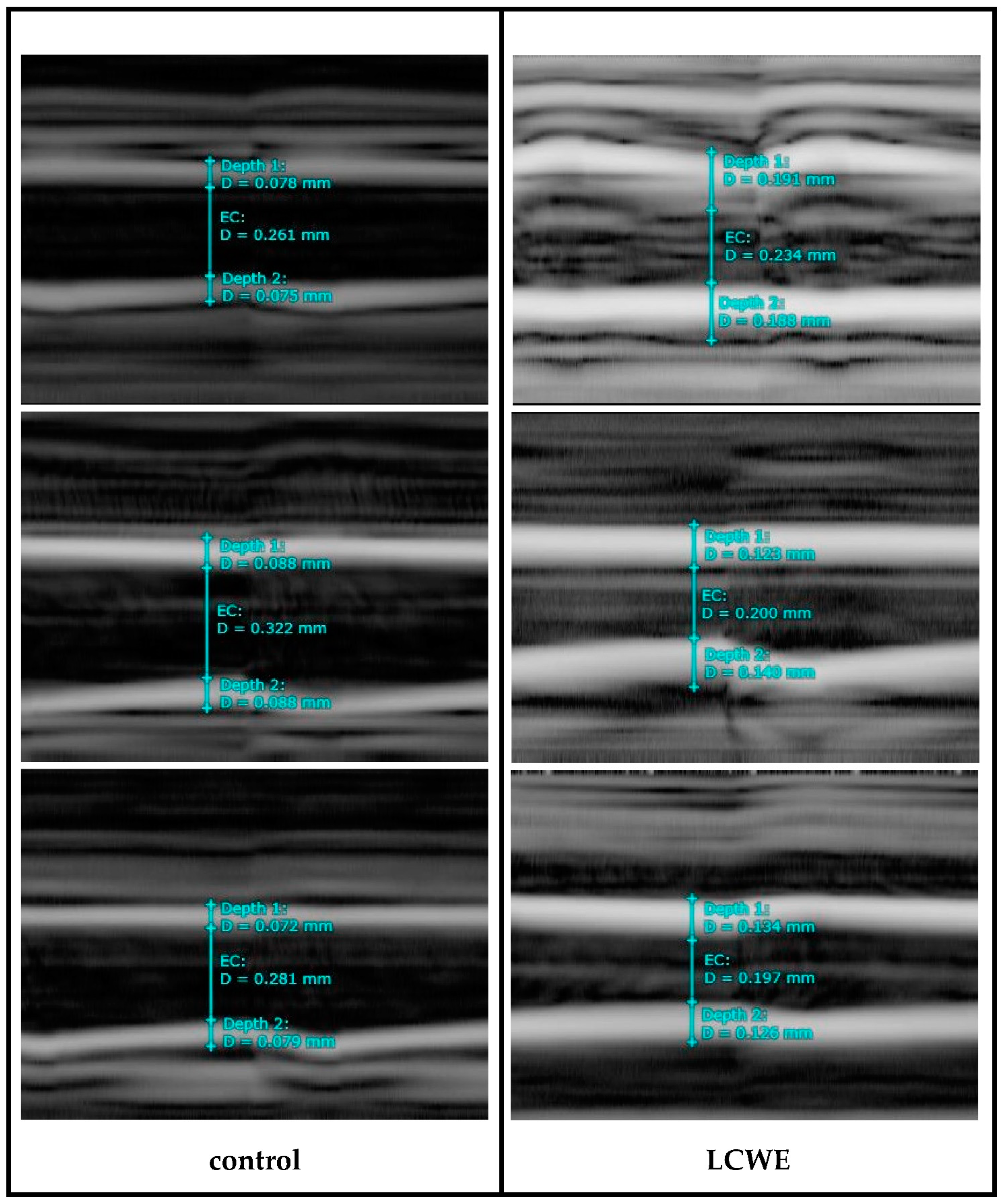 Diagnostics 14 00145 g003 Diagnostics 14 00145 g003