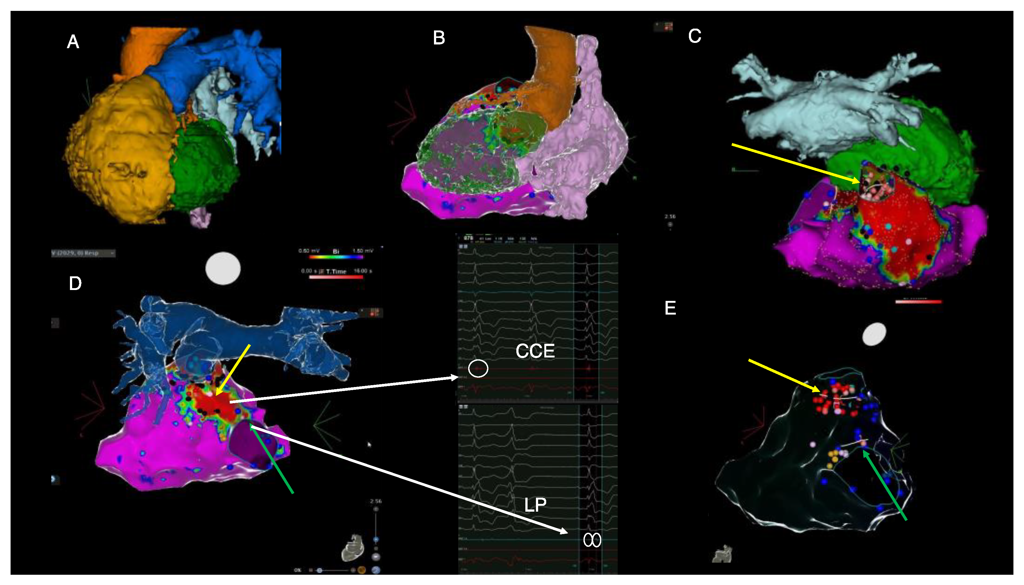 Diagnostics 14 00158 g003