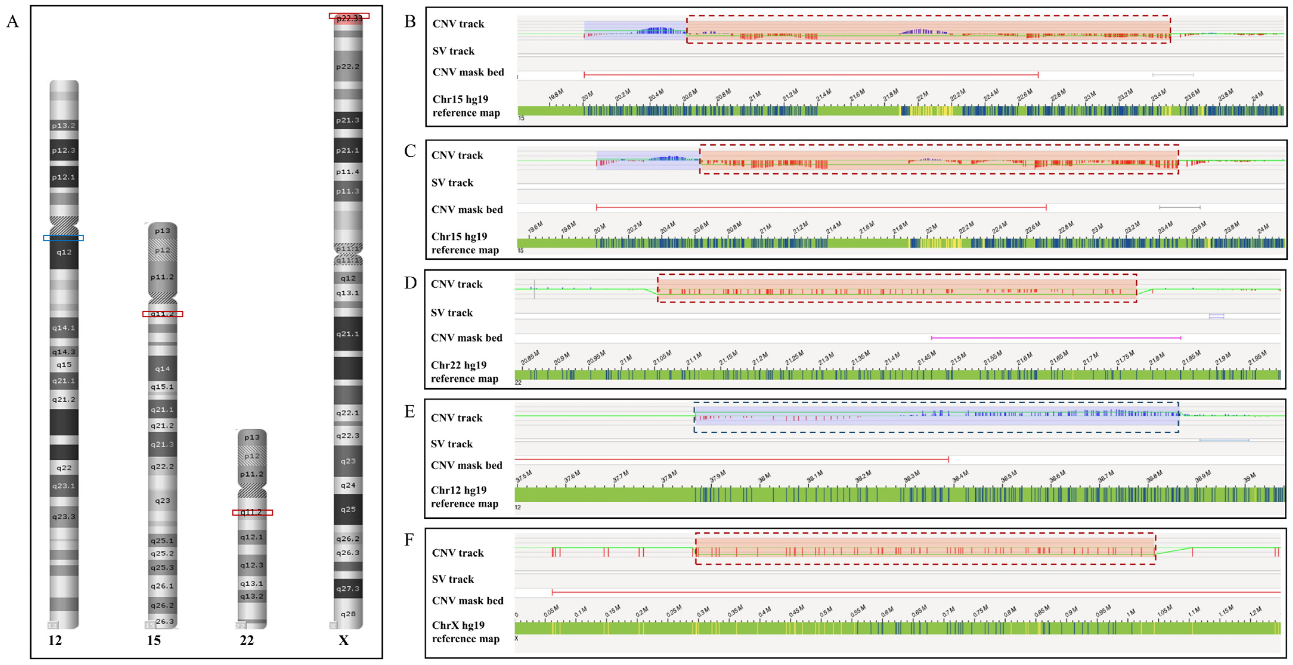 Diagnostics 14 00165 g002
