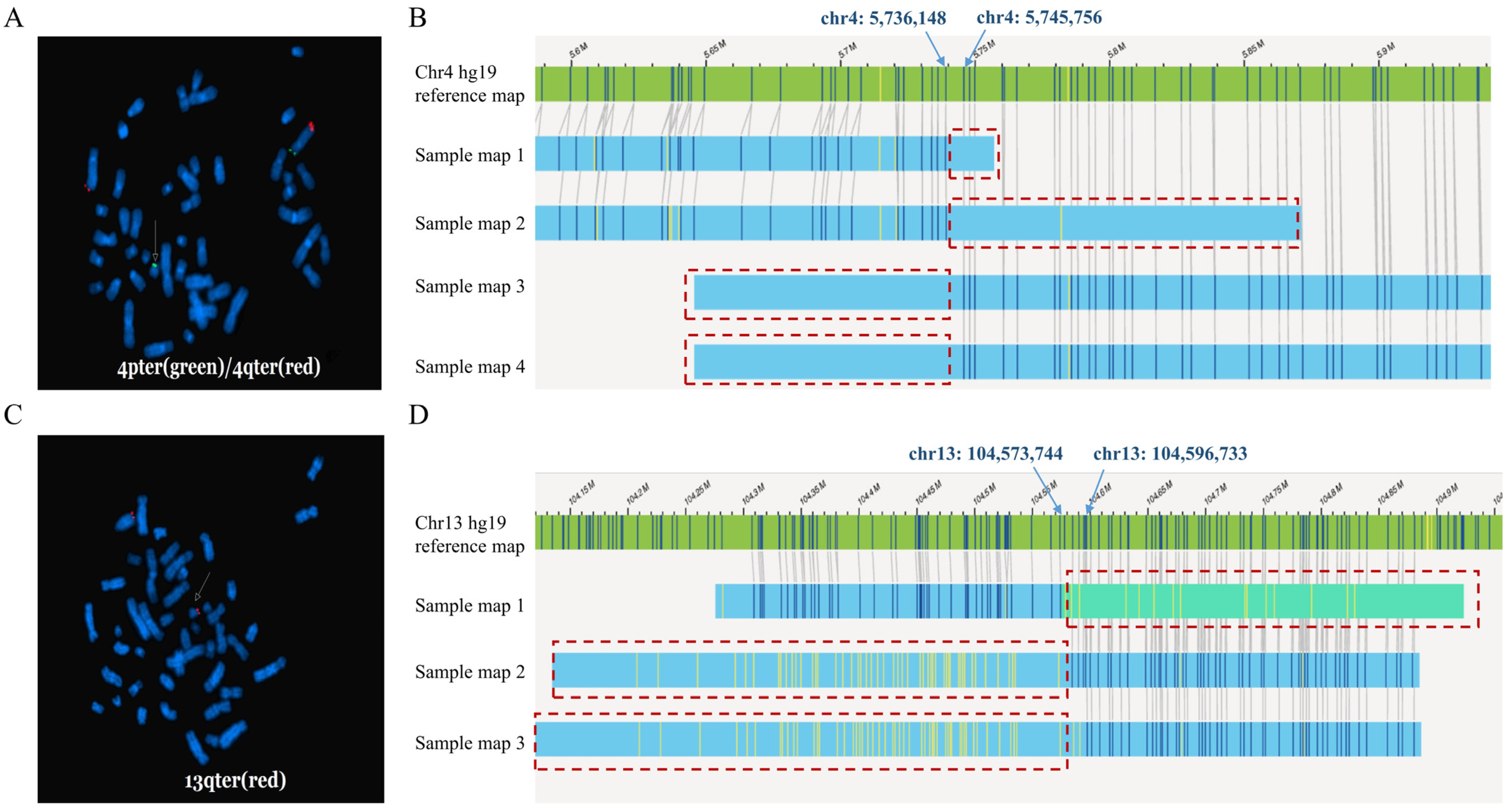 Diagnostics 14 00165 g003