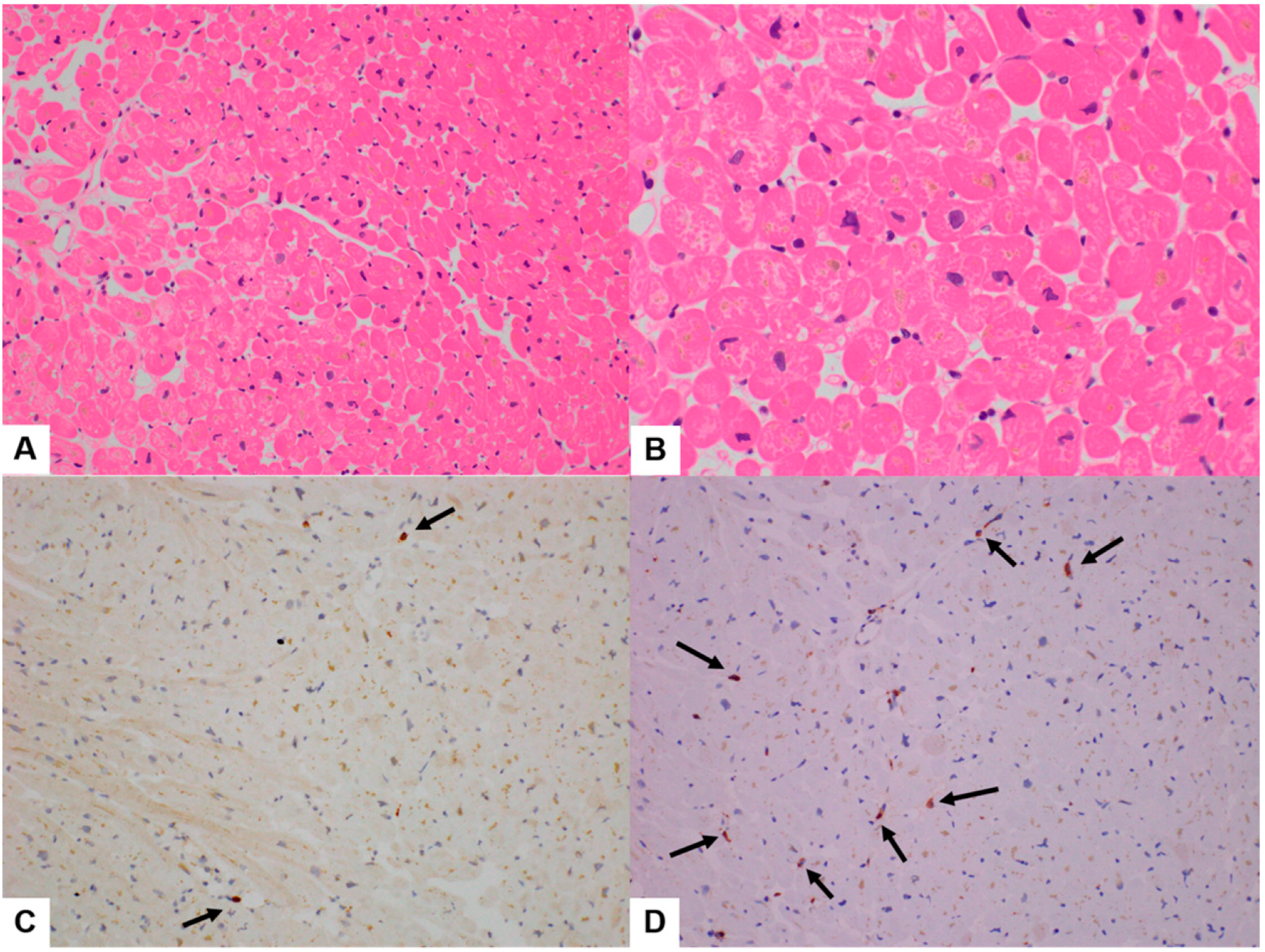 Diagnostics 14 00219 g003