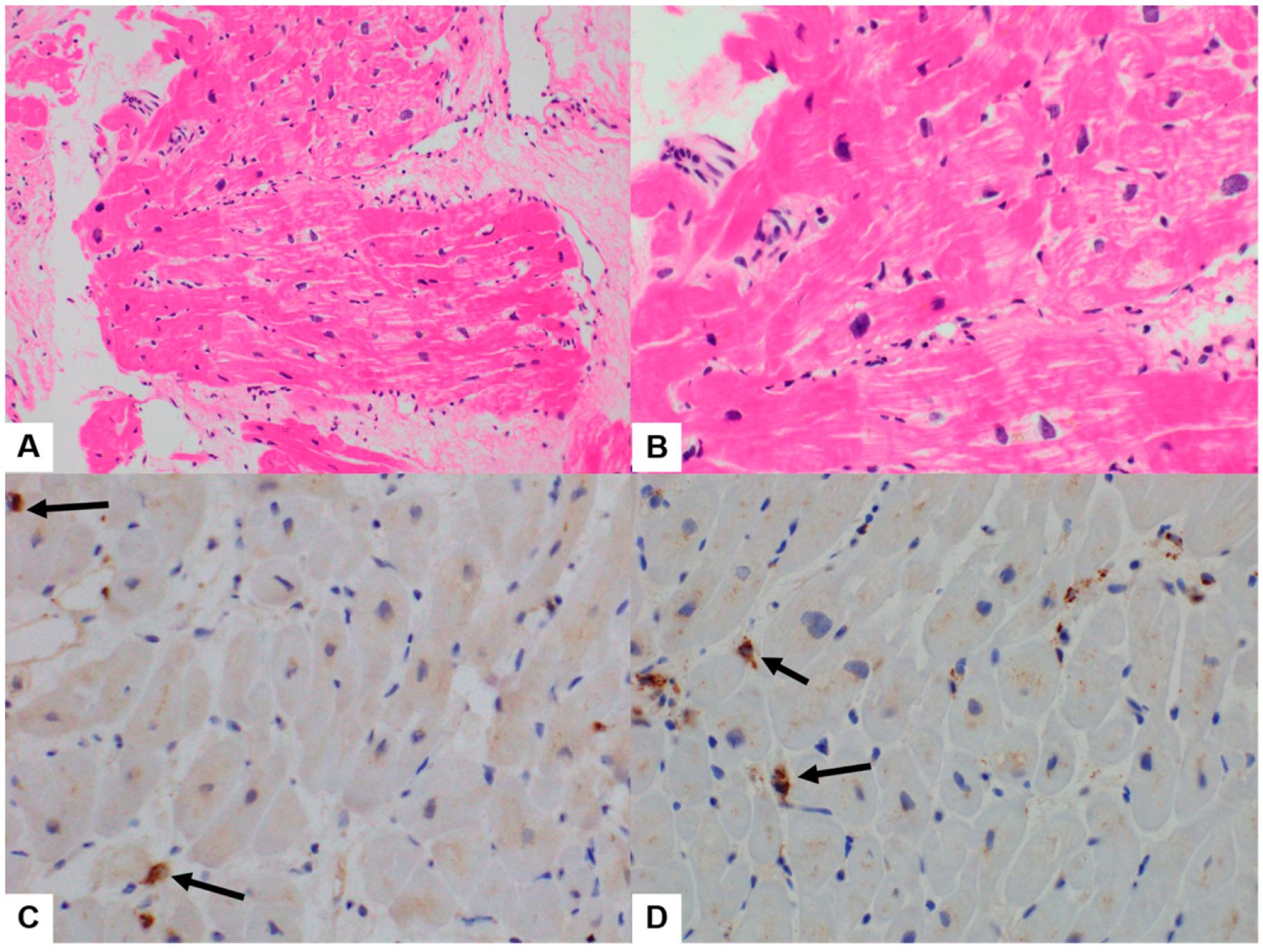 Diagnostics 14 00219 g004