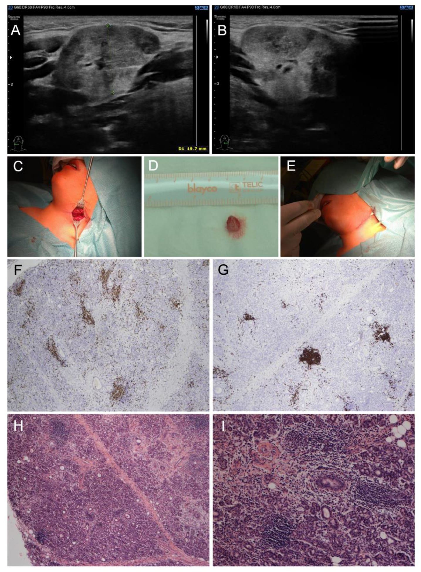 Diagnostics 14 00258 g001 Diagnostics 14 00258 g001