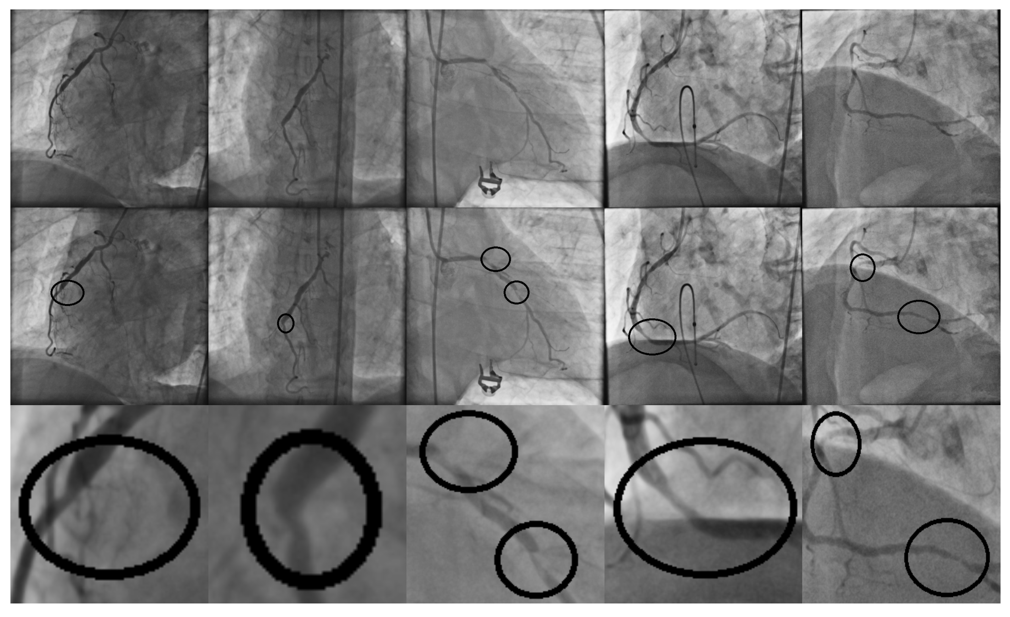 Diagnostics 14 00268 g002