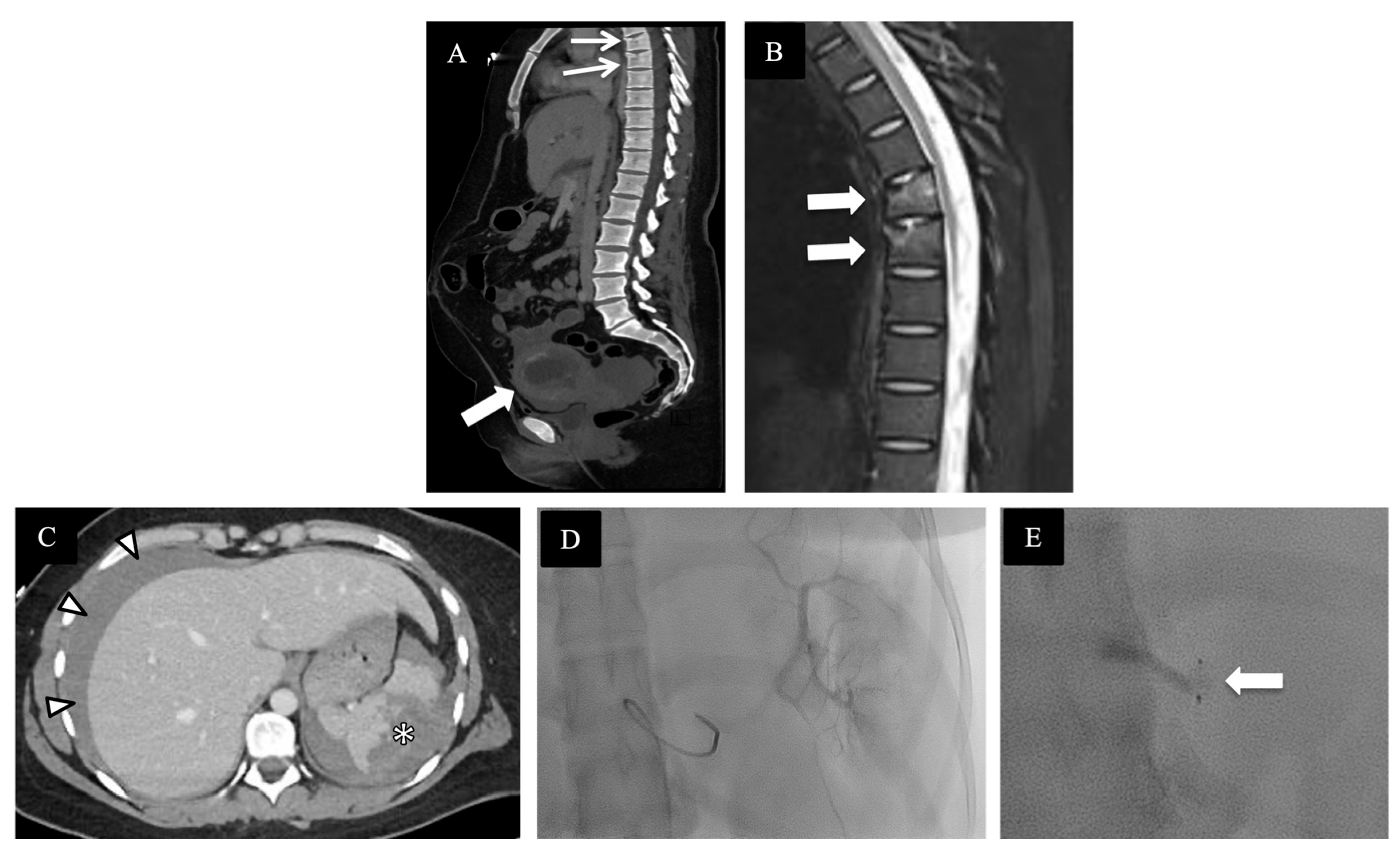     - e-Anatomy - IMAIOS