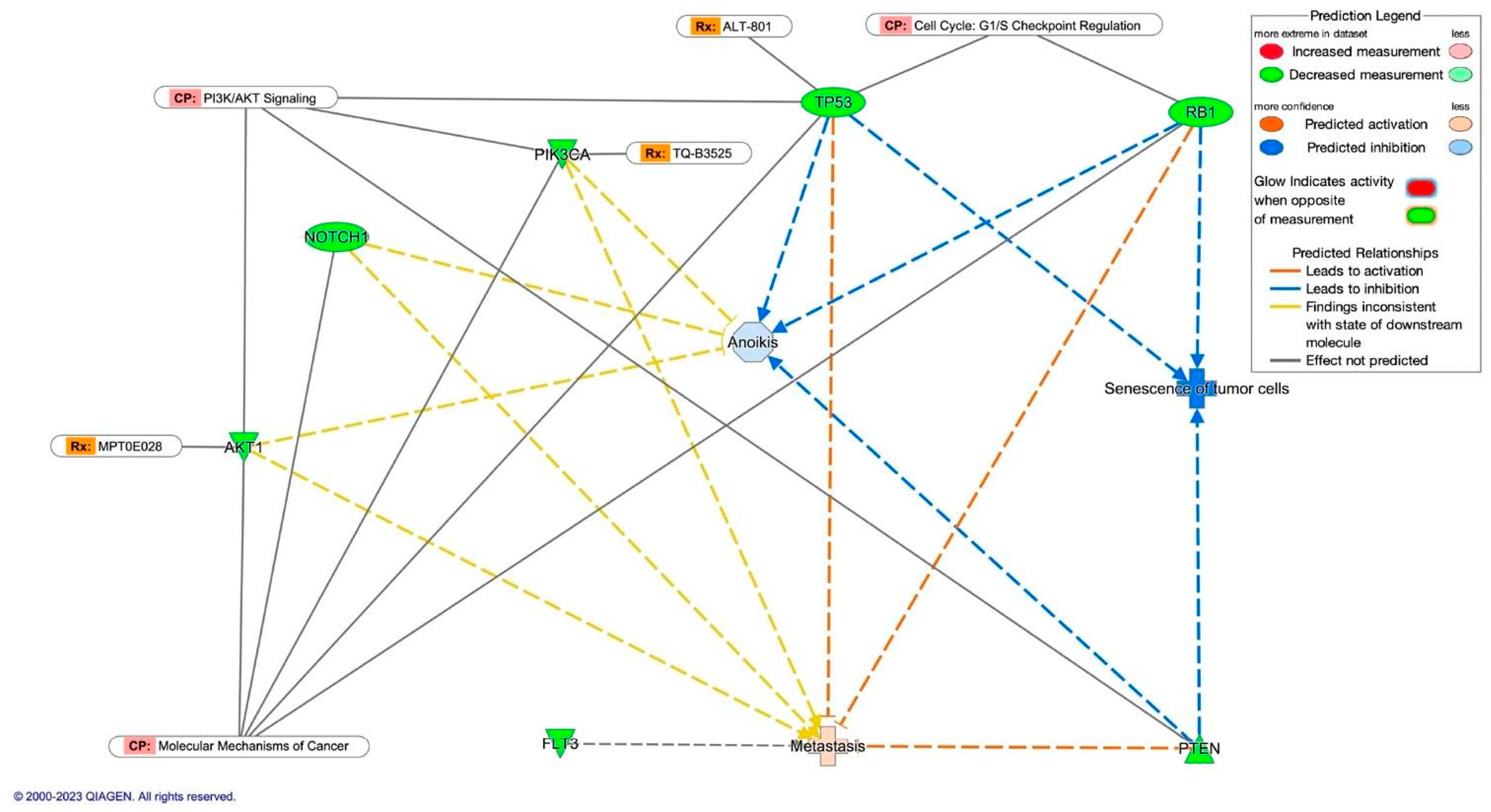 Diagnostics 14 00287 g003