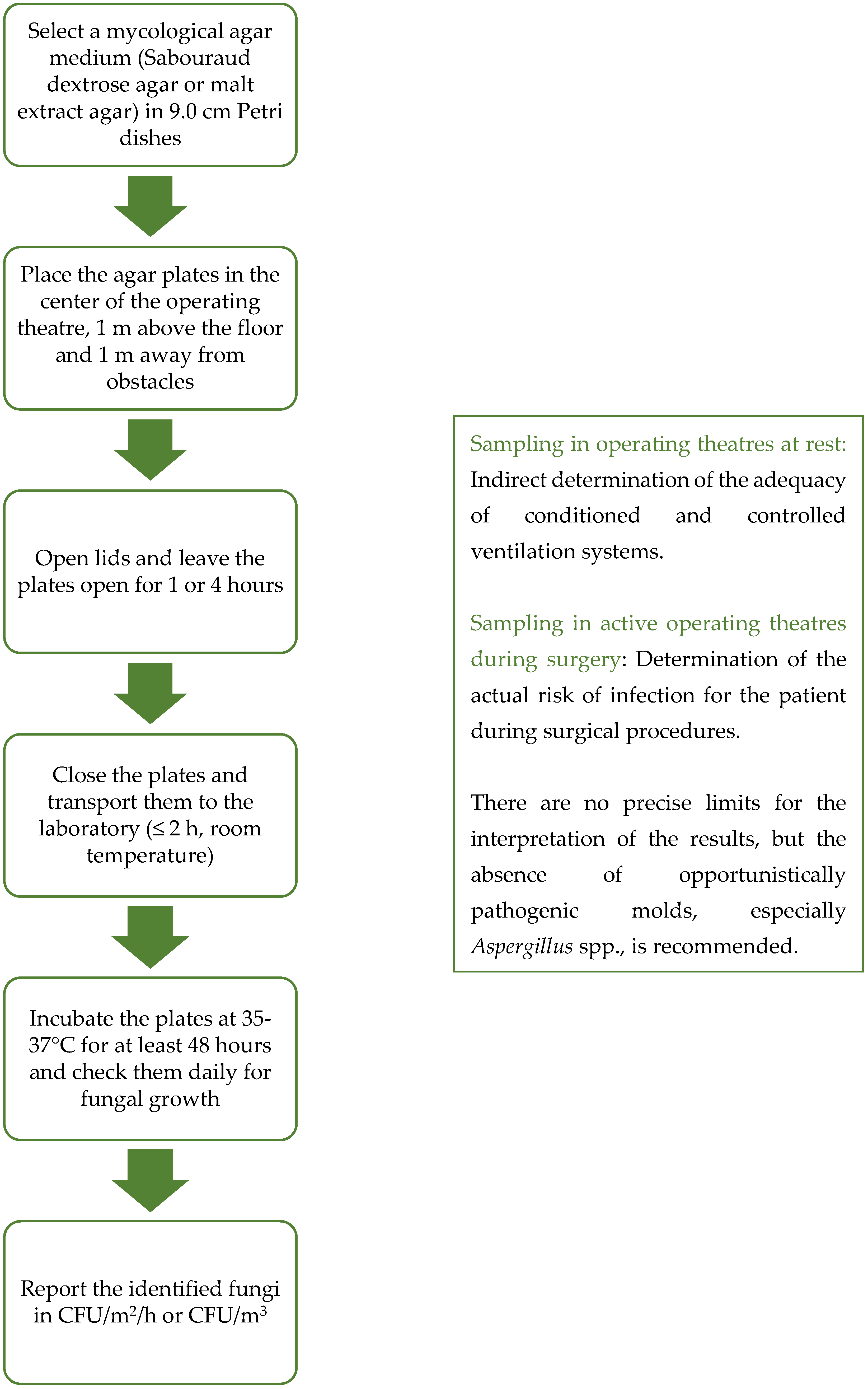 Diagnostics 14 00288 g001