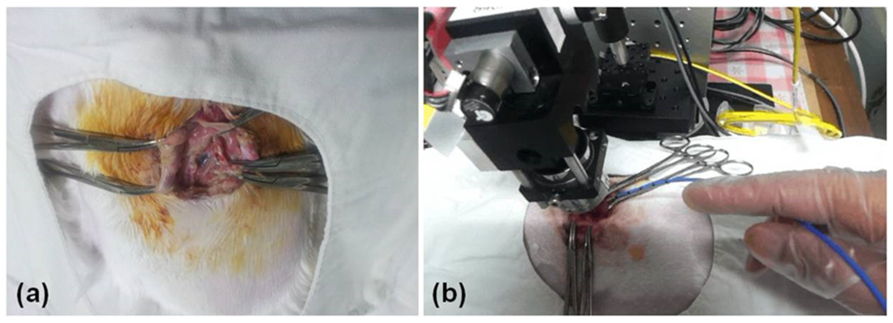 Diagnostics 14 00292 g002 Diagnostics 14 00292 g002