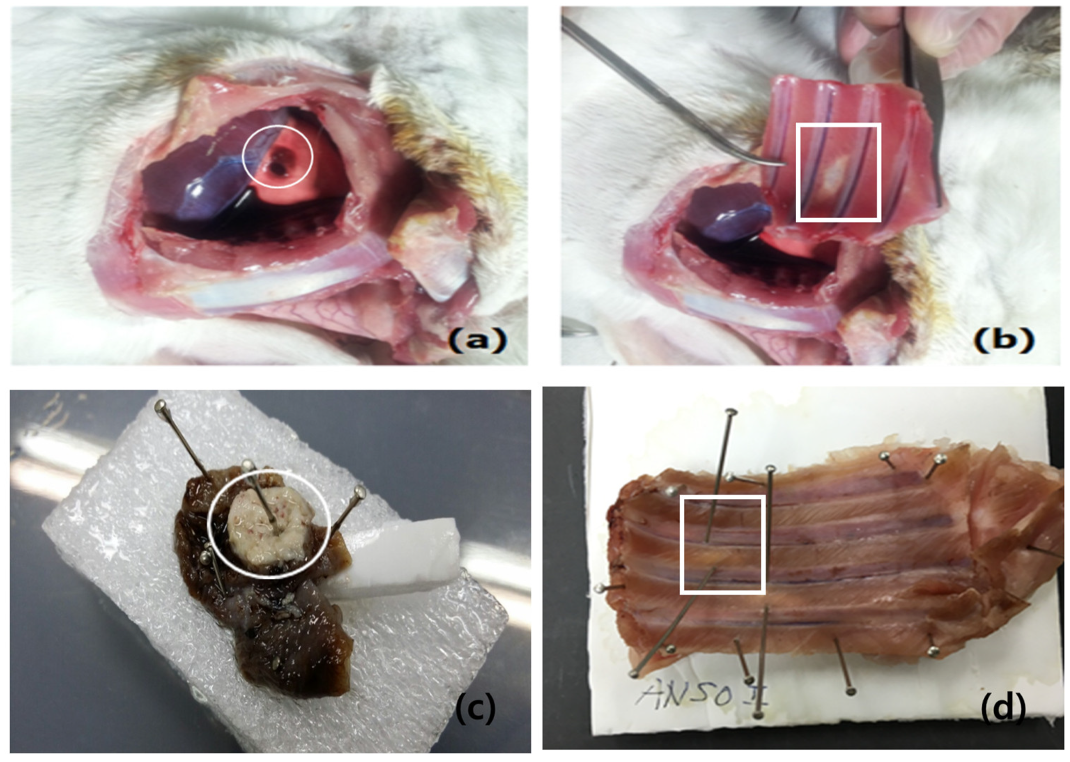 Diagnostics 14 00292 g004 Diagnostics 14 00292 g004
