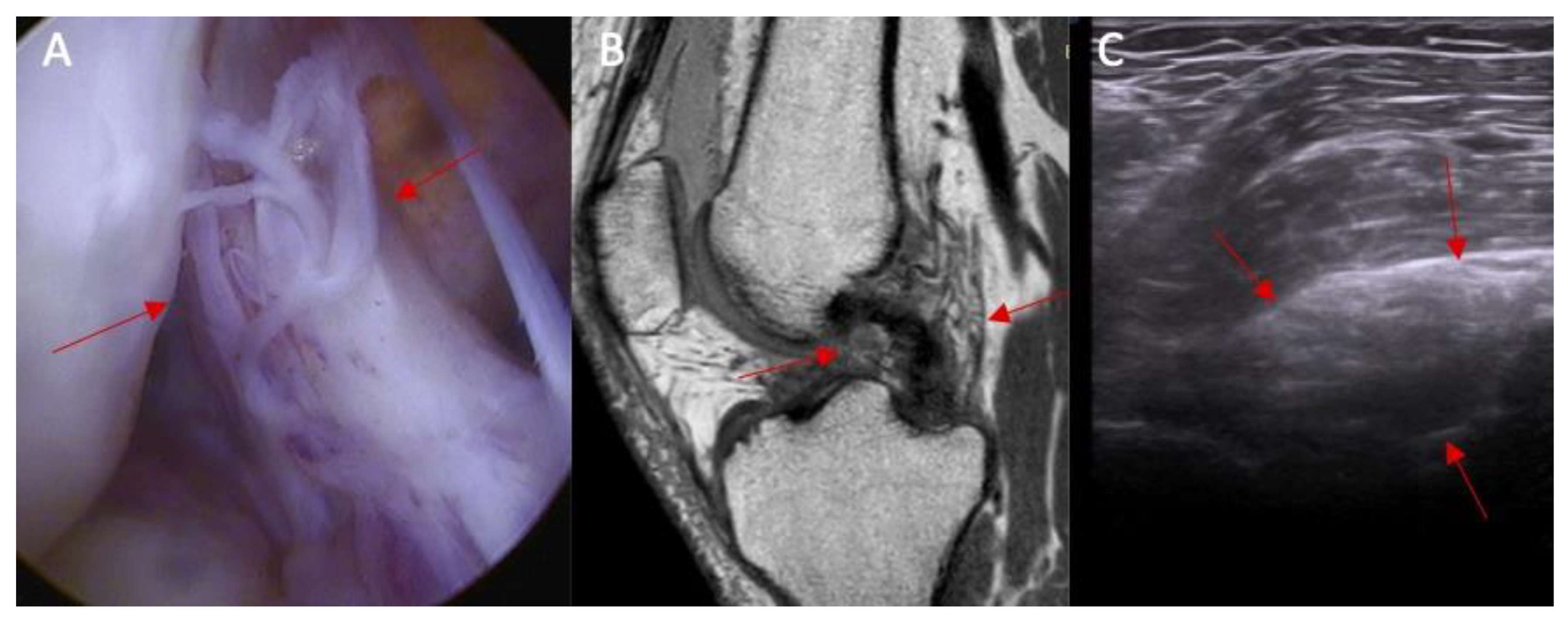 Diagnostics 14 00305 g007