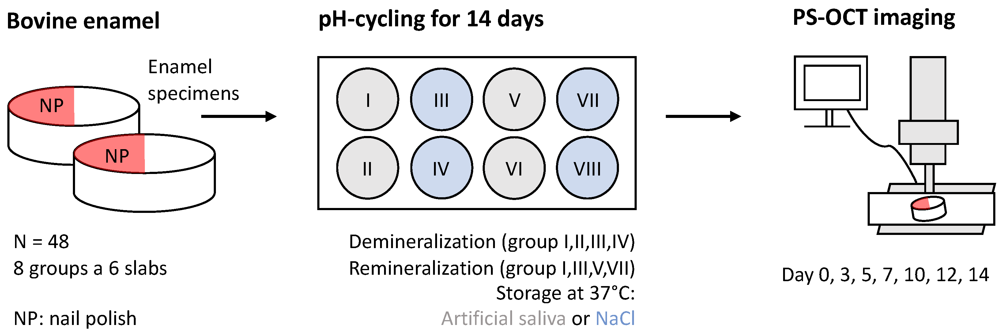 Diagnostics 14 00367 g001