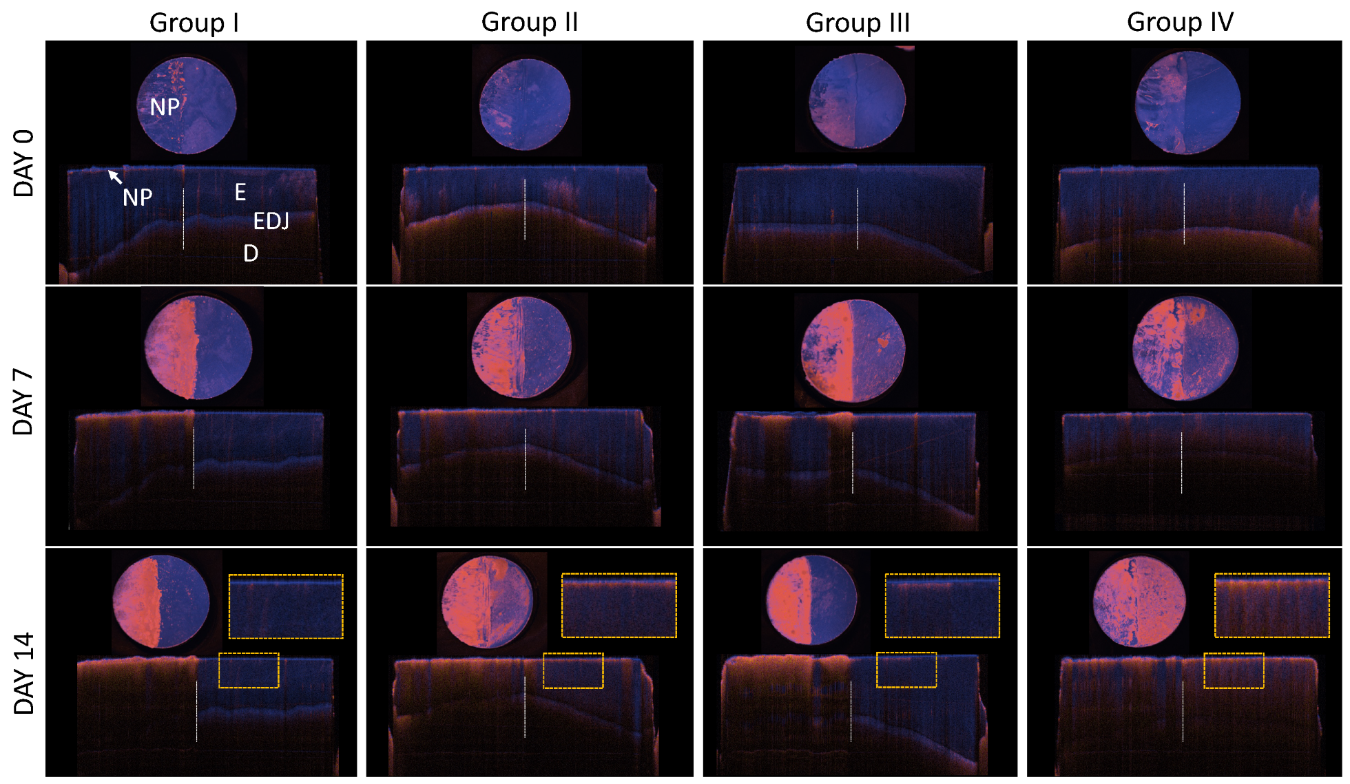 Diagnostics 14 00367 g004