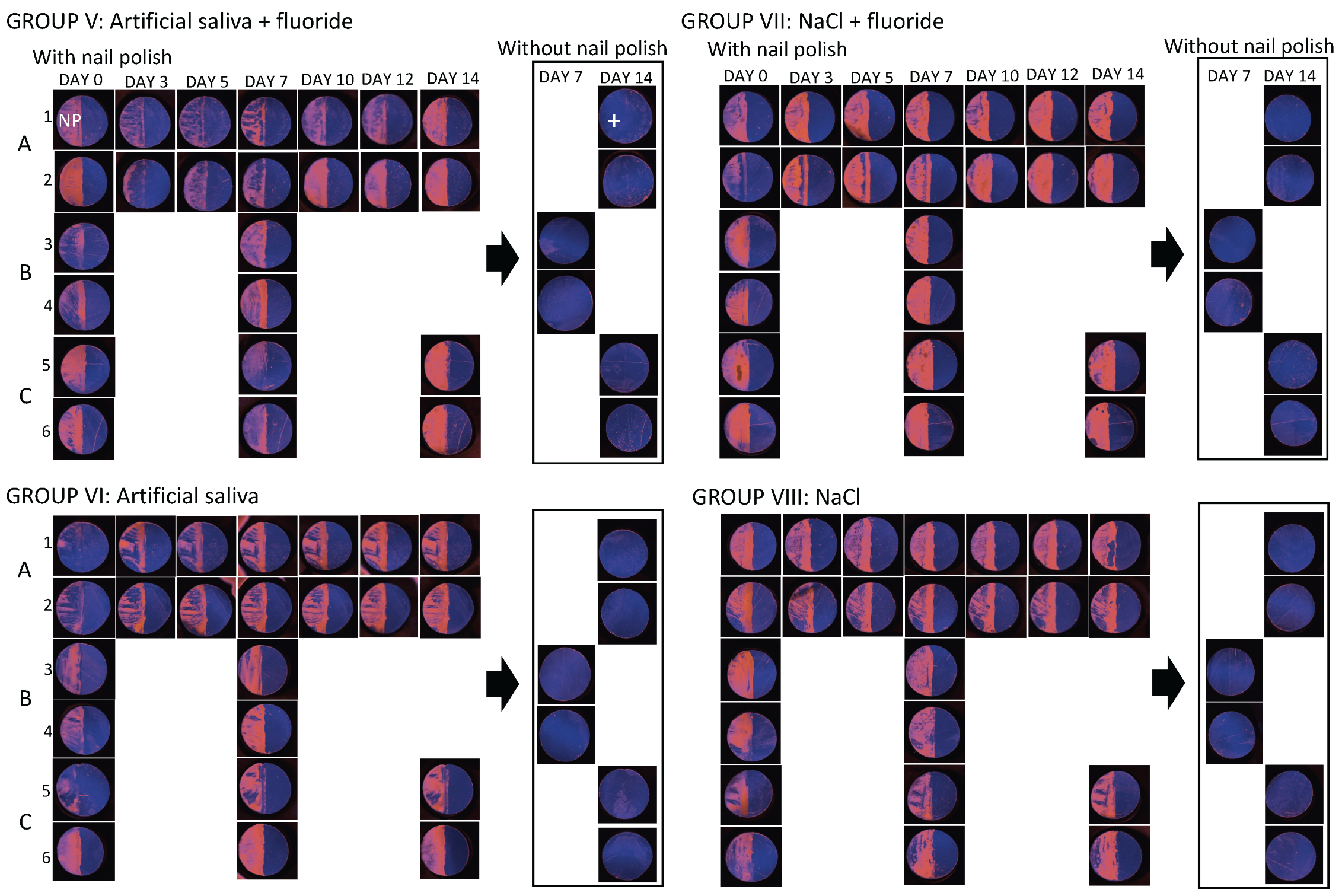 Diagnostics 14 00367 g0a5