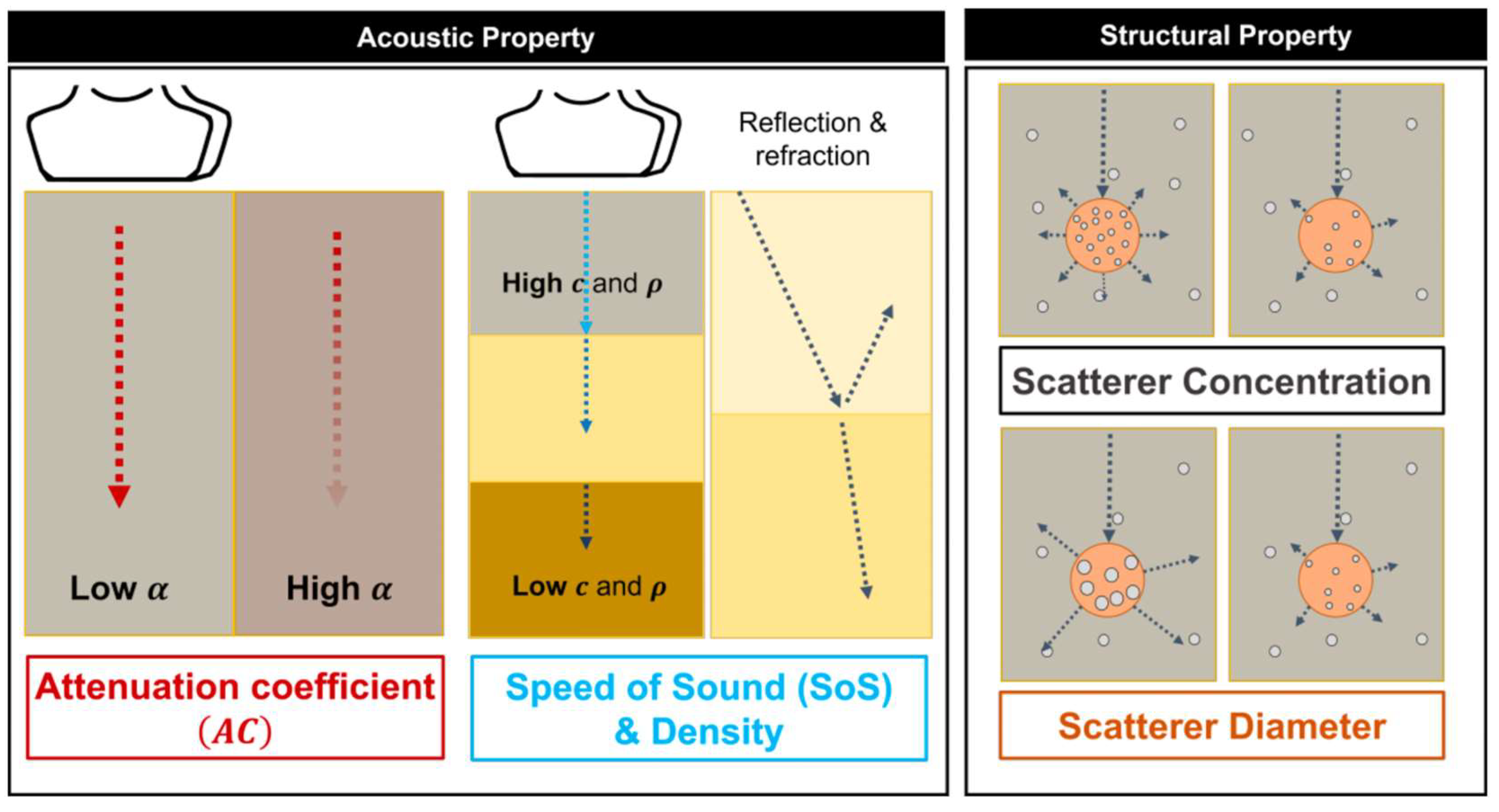 Diagnostics 14 00419 g001