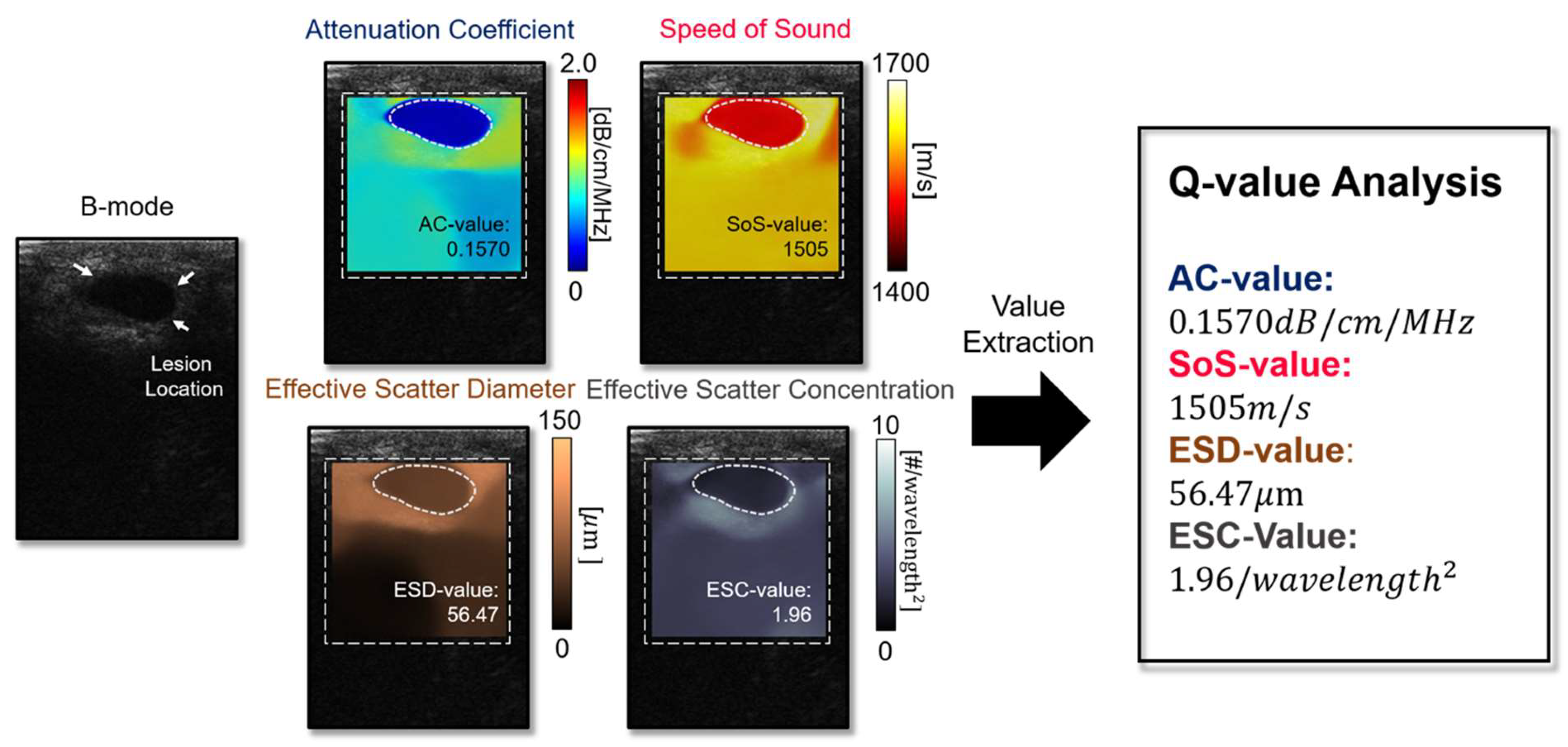 Diagnostics 14 00419 g005