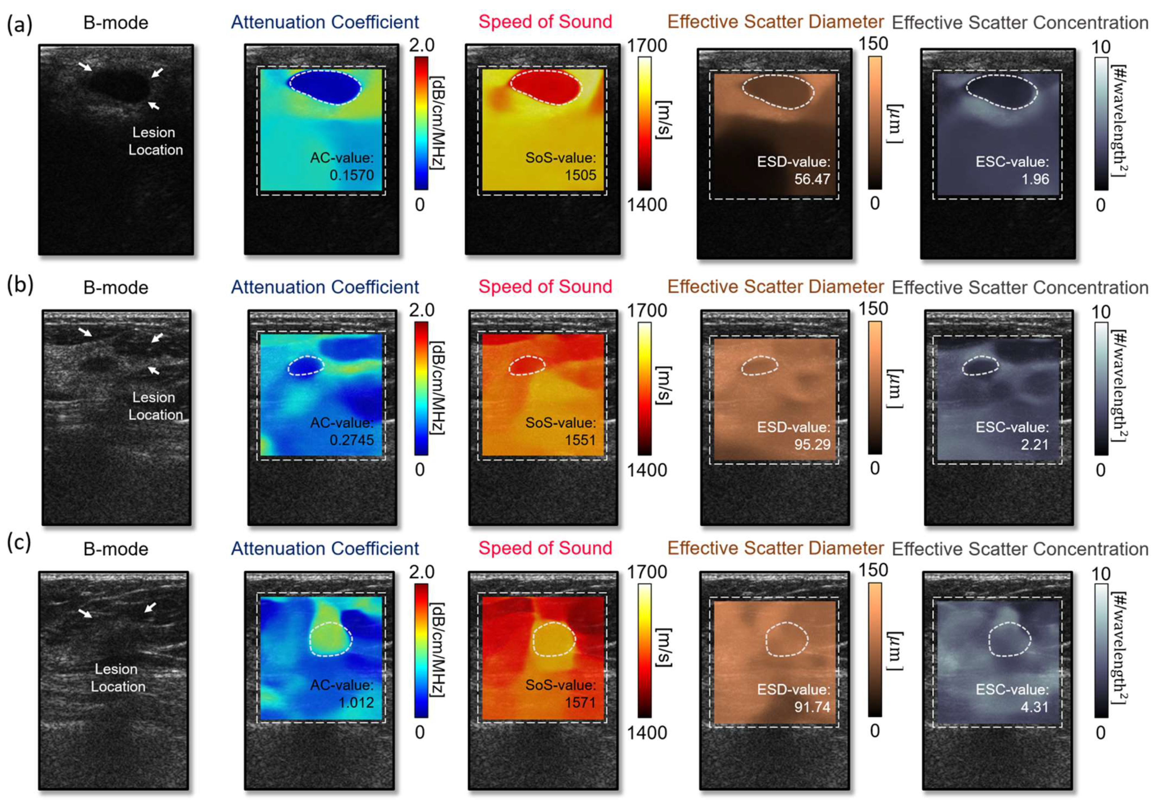 Diagnostics 14 00419 g006