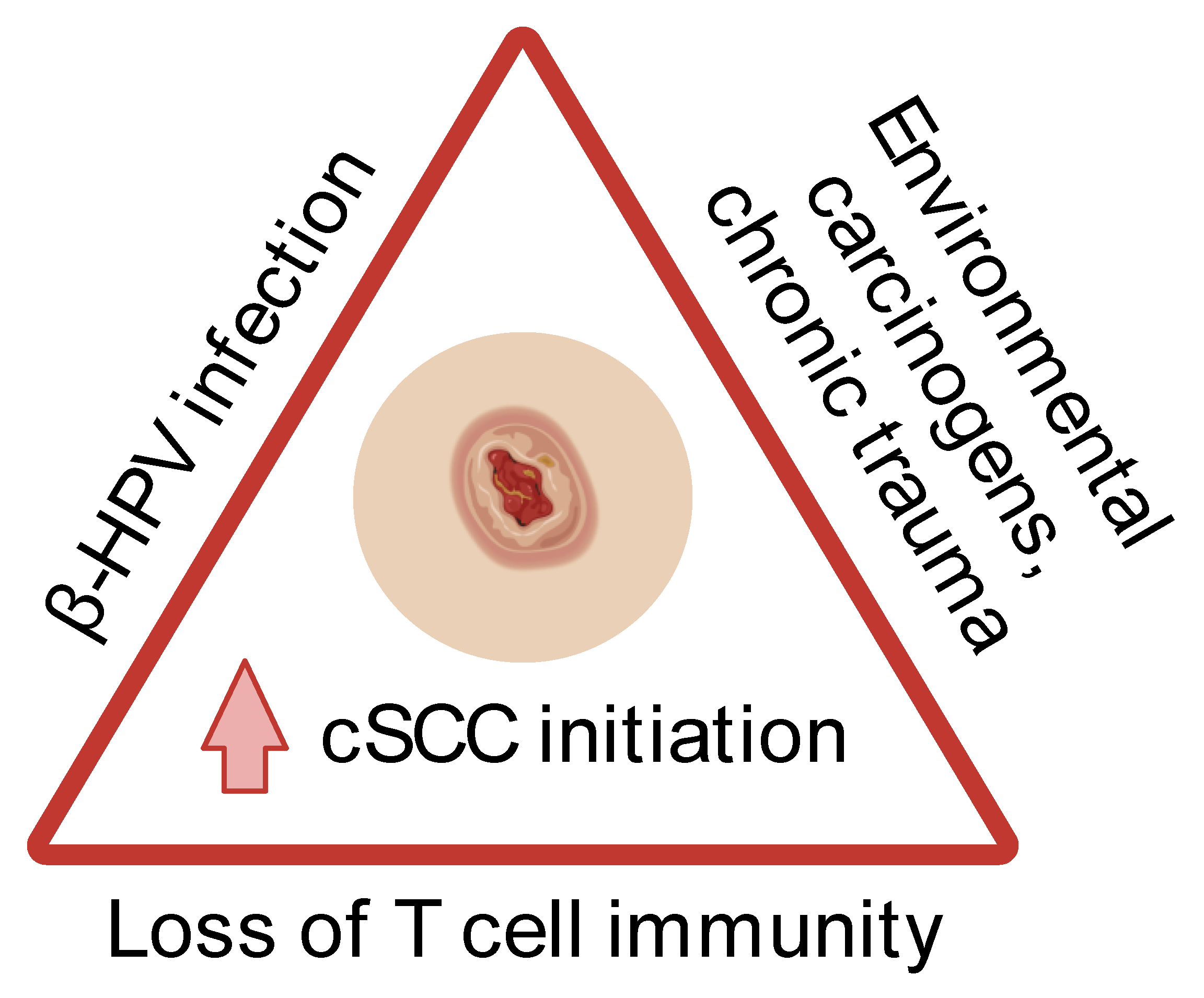 Diagnostics 14 00473 g002 Diagnostics 14 00473 g002