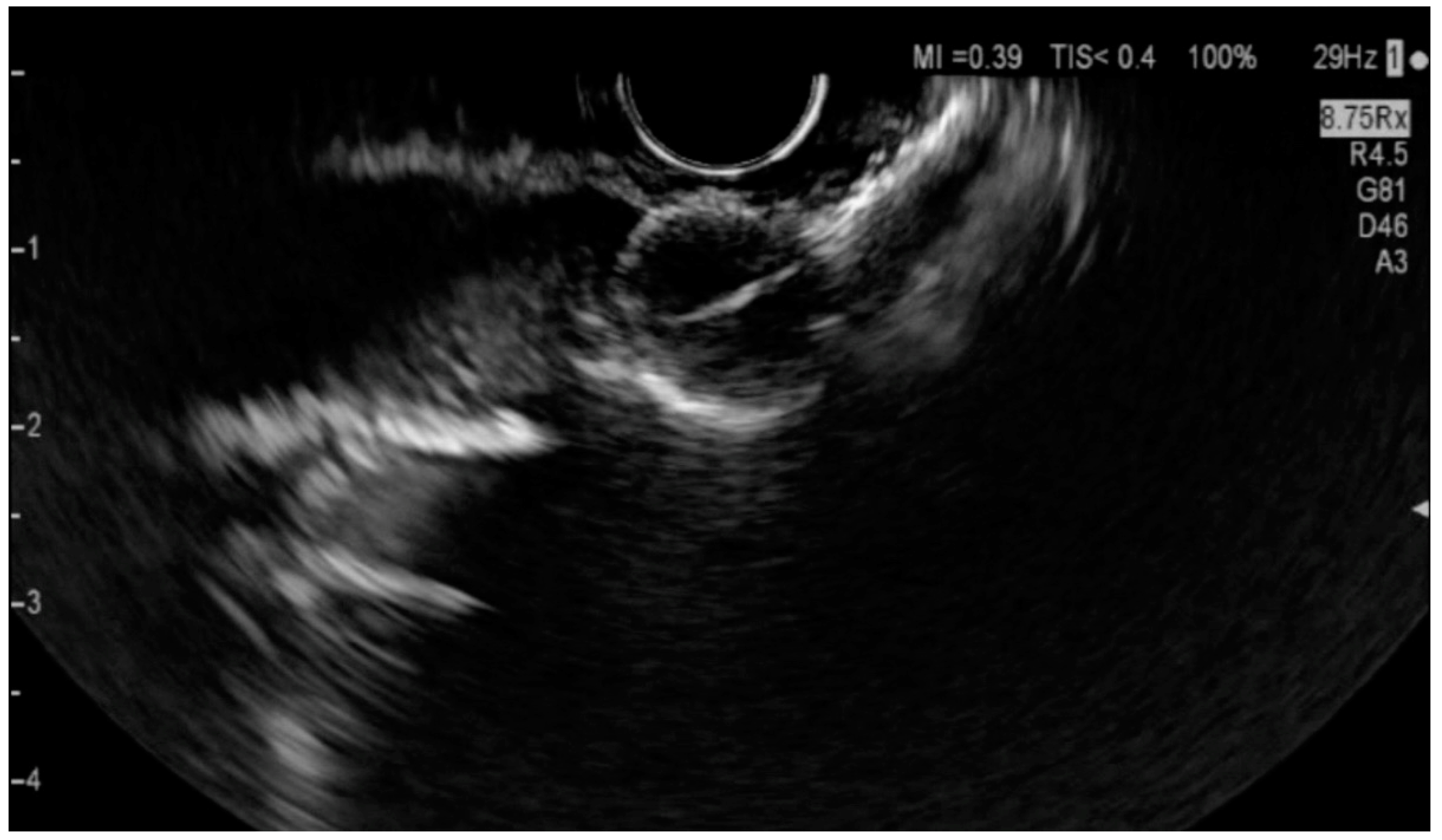 Diagnostics 14 00490 g007