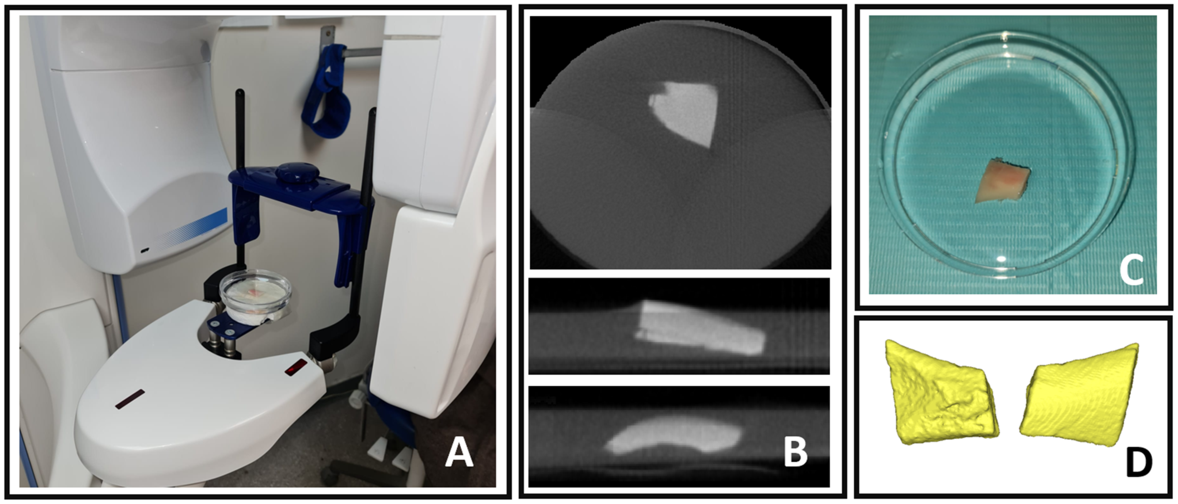Diagnostics 14 00504 g002