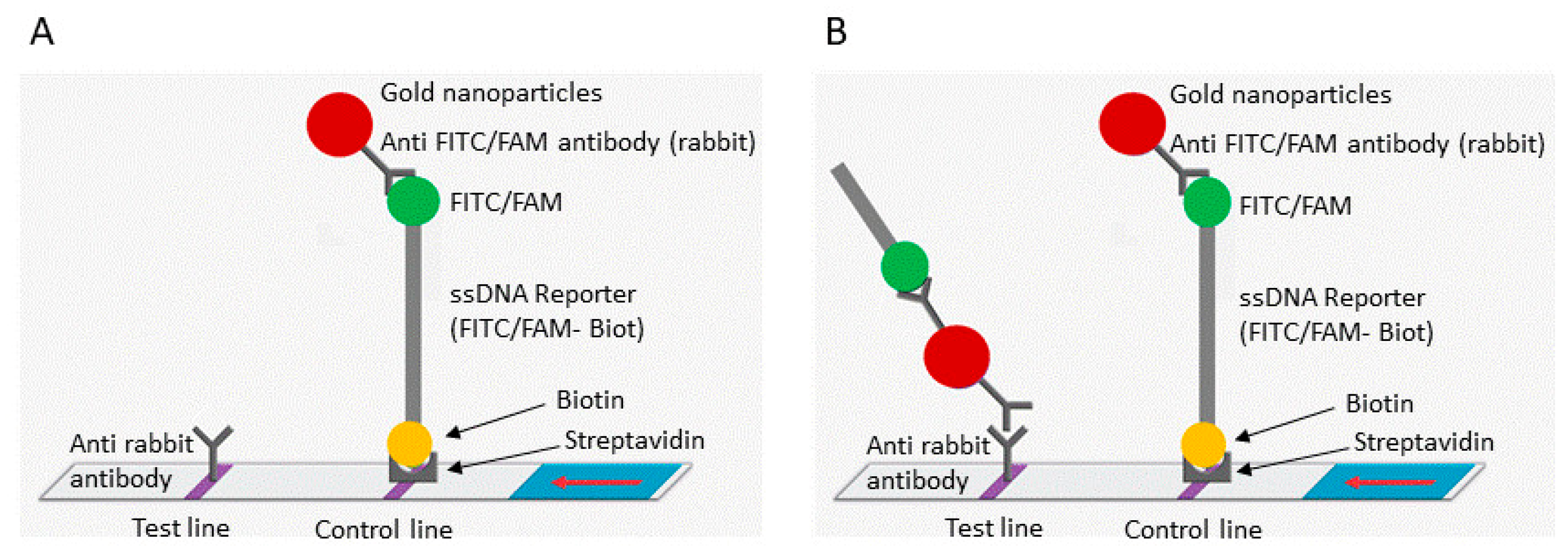 Diagnostics 14 00517 g001