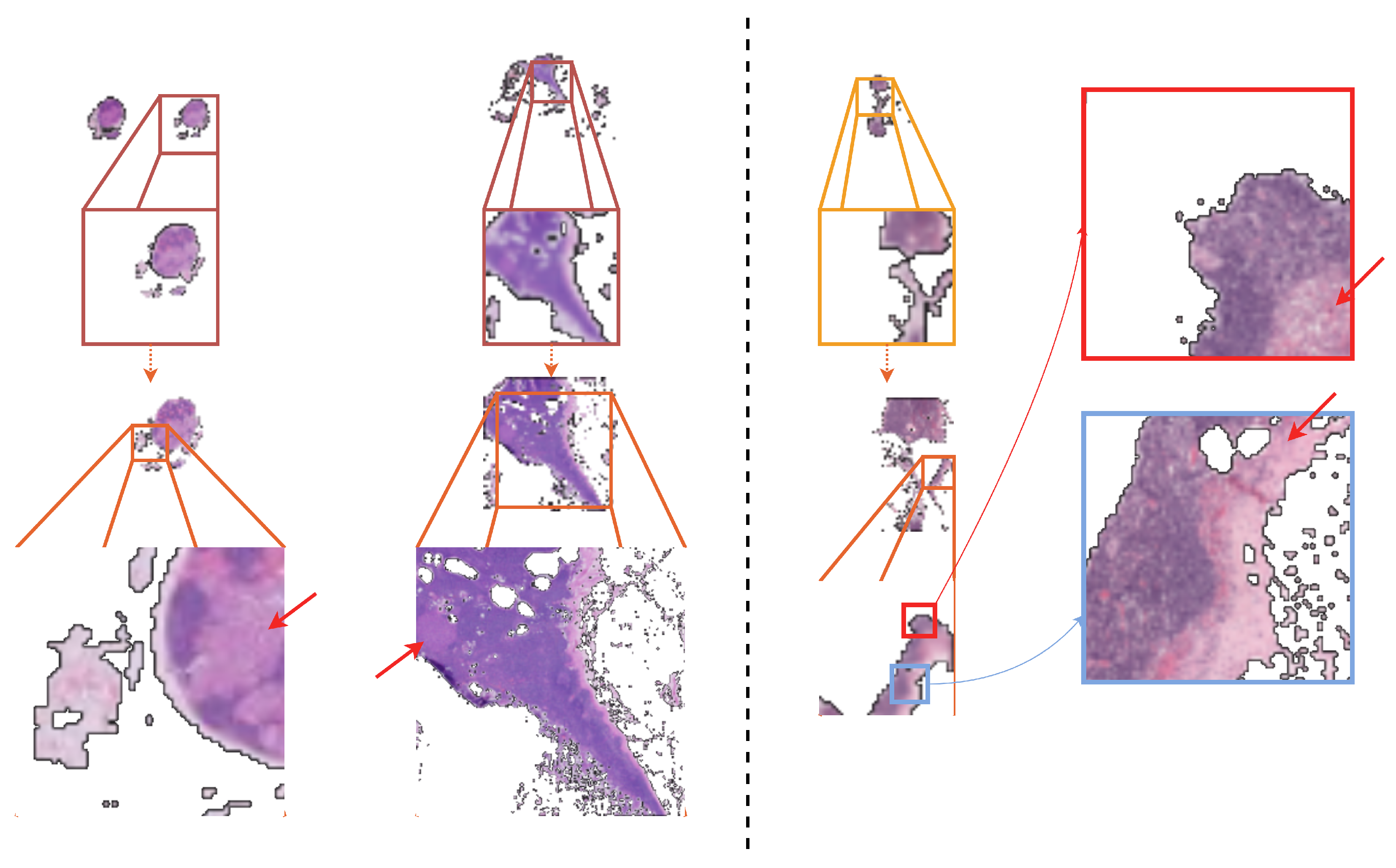 Diagnostics 14 00524 g007
