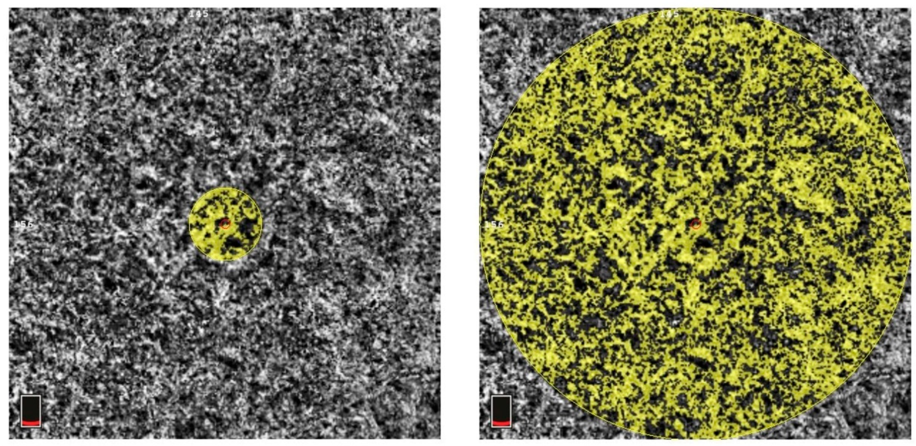 Diagnostics 14 00537 g002