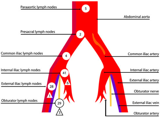 Diagnostics | Free Full-Text | Visualization Methods for Uterine ...