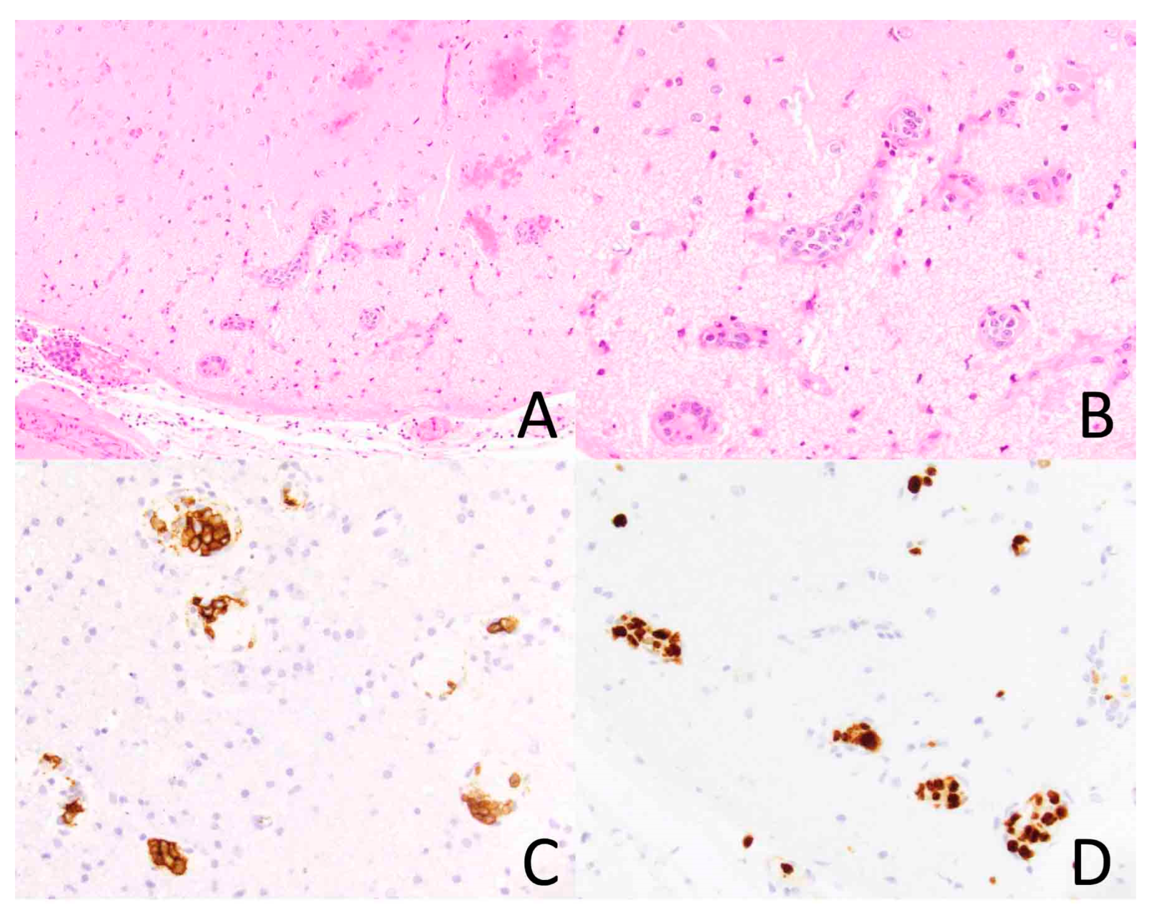 Diagnostics 14 00679 g002