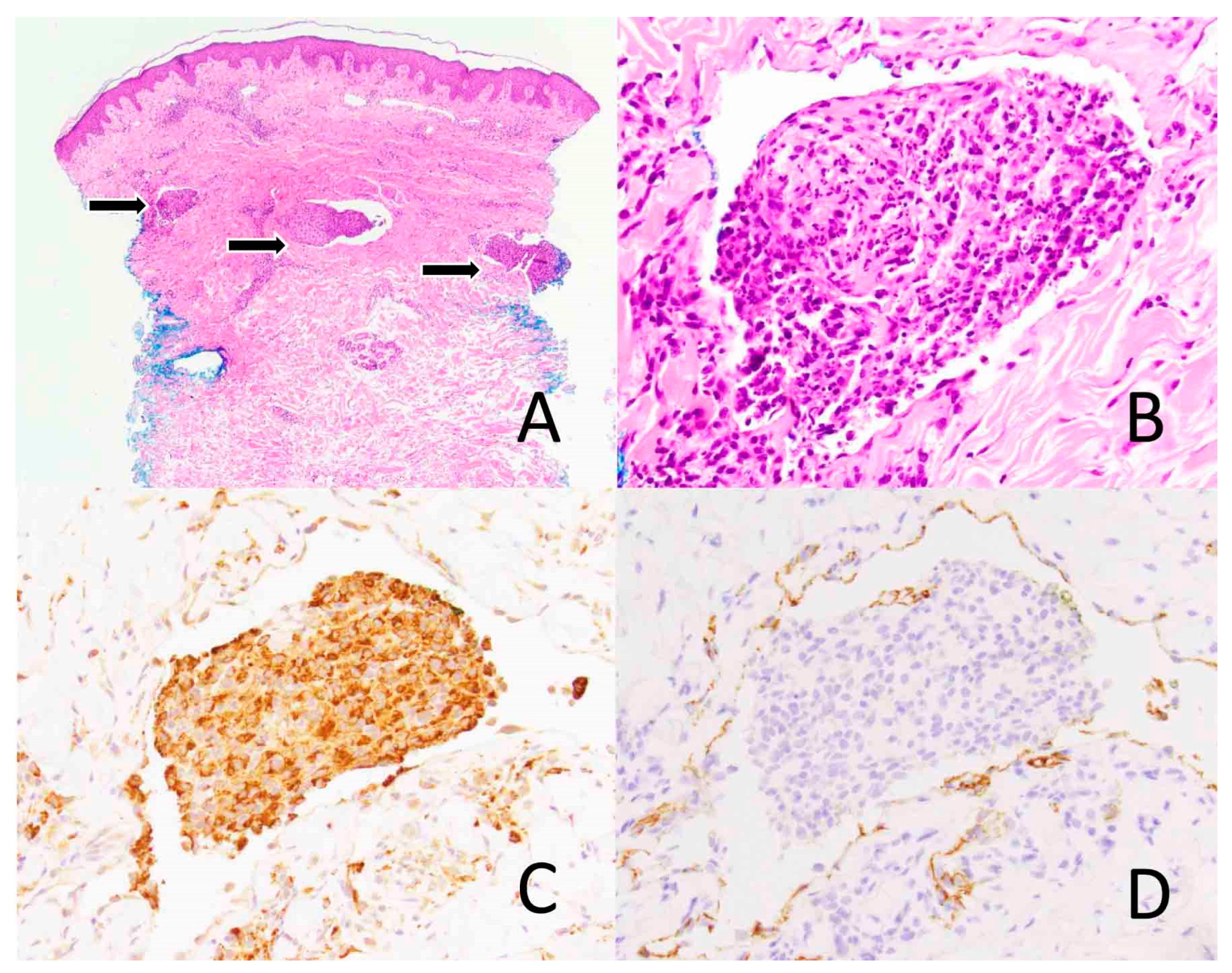 Diagnostics 14 00679 g003