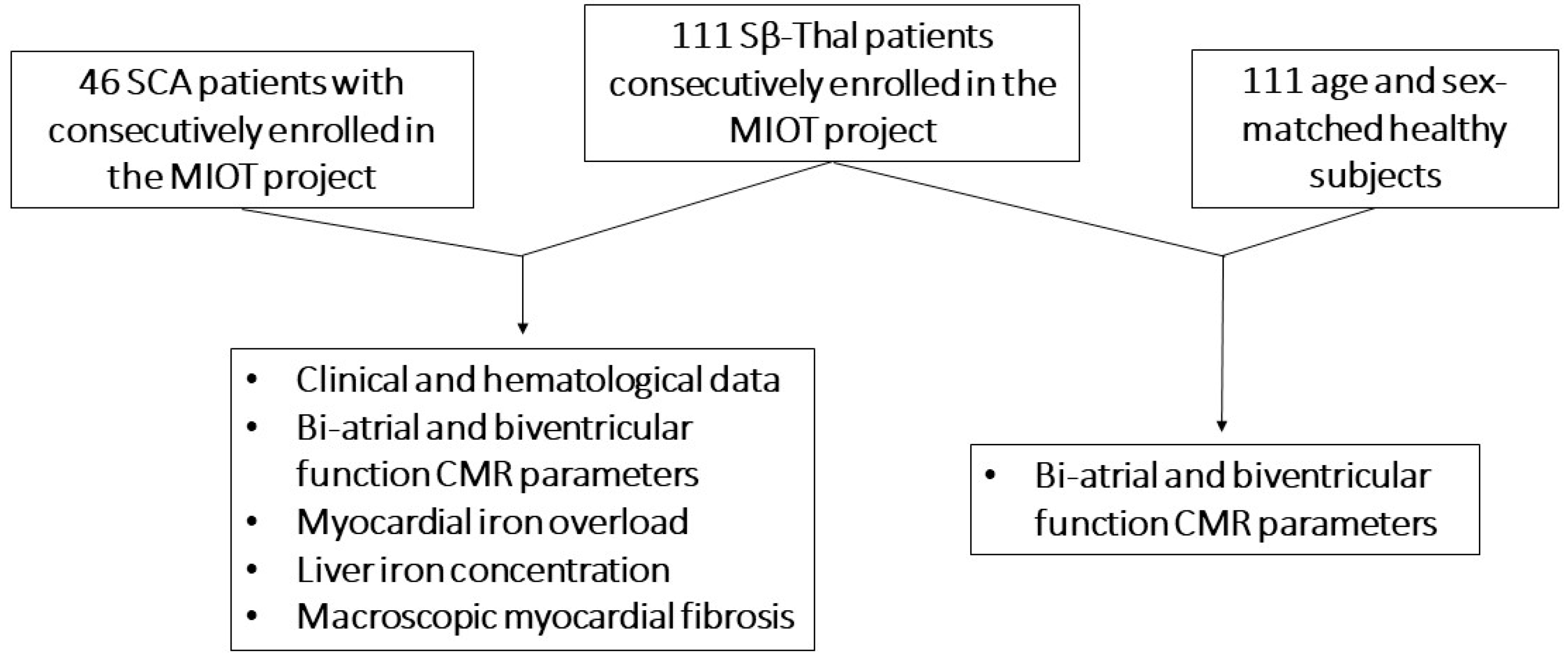 Diagnostics 14 00691 g001