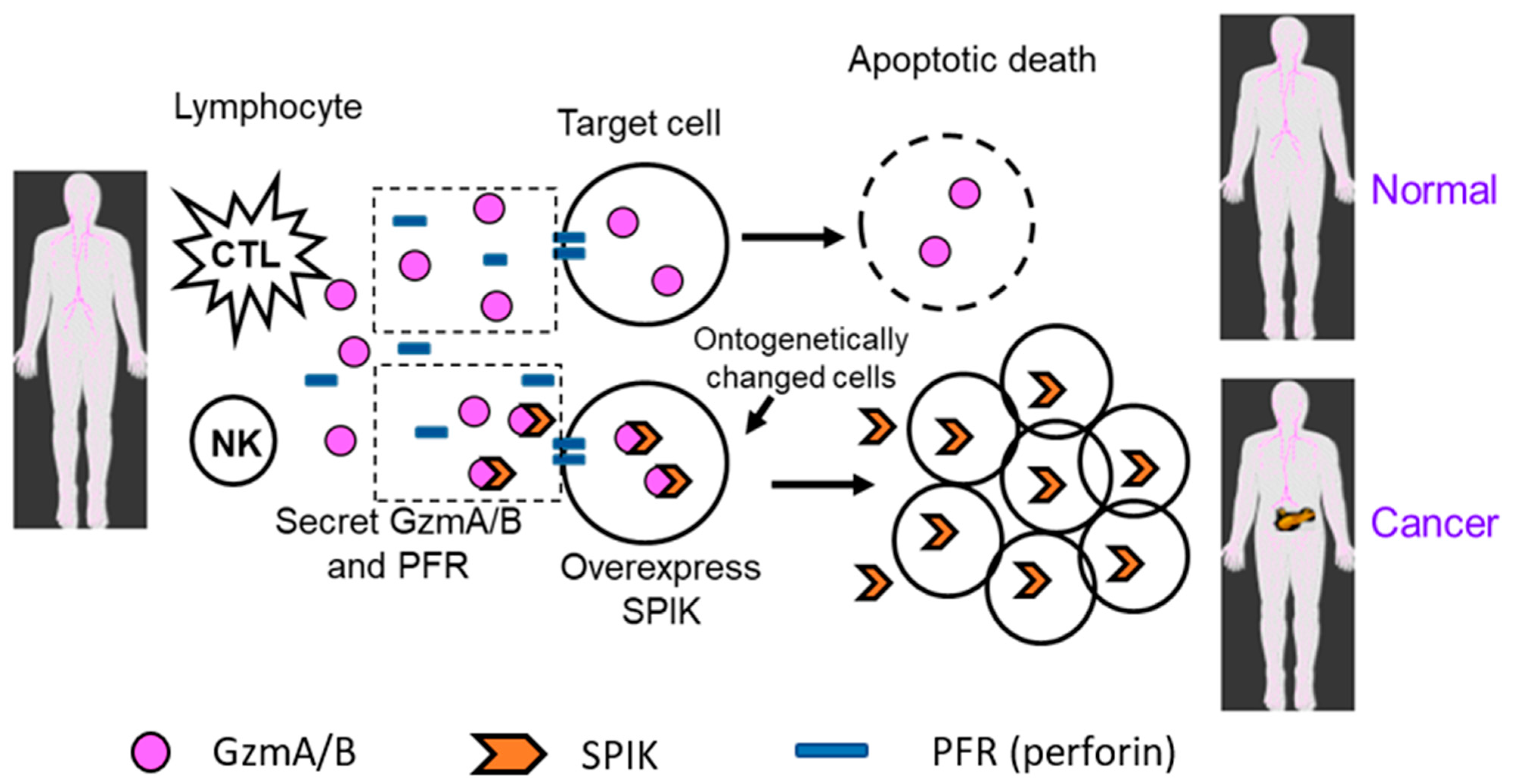 Diagnostics 14 00725 g001 Diagnostics 14 00725 g001