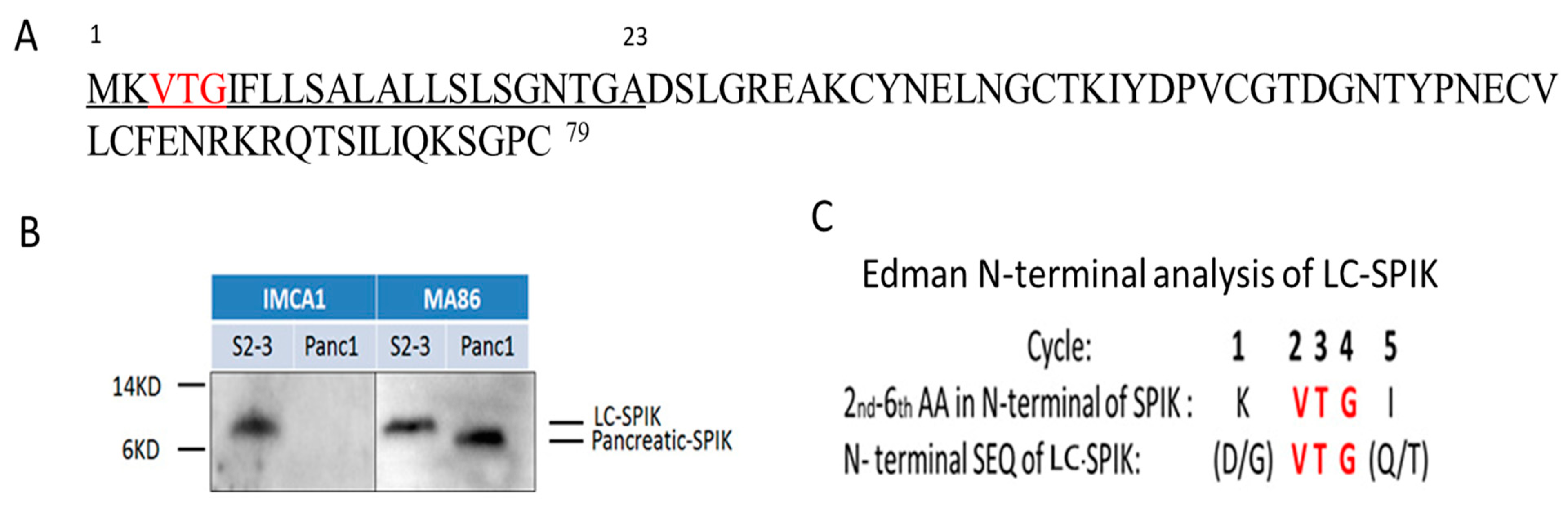 Diagnostics 14 00725 g002 Diagnostics 14 00725 g002