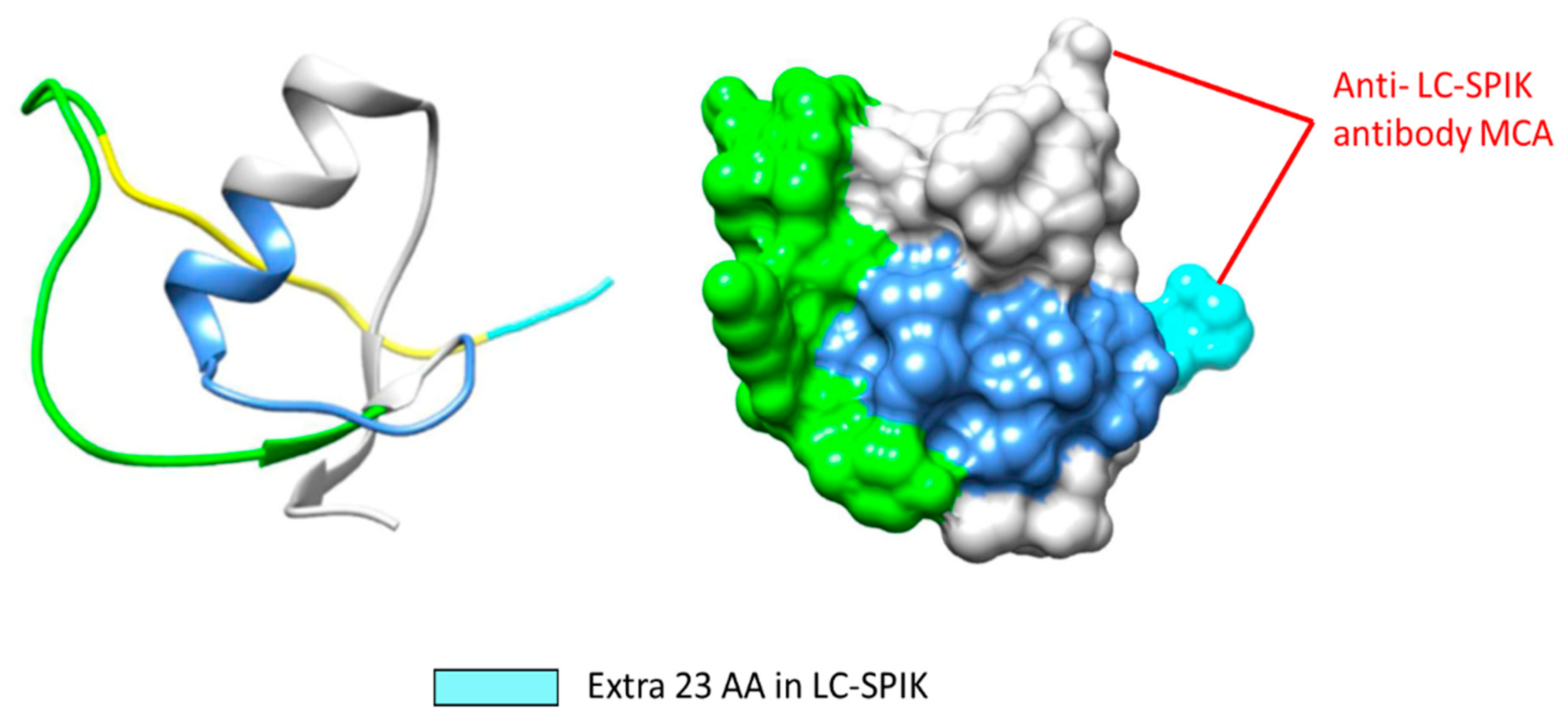 Diagnostics 14 00725 g004 Diagnostics 14 00725 g004
