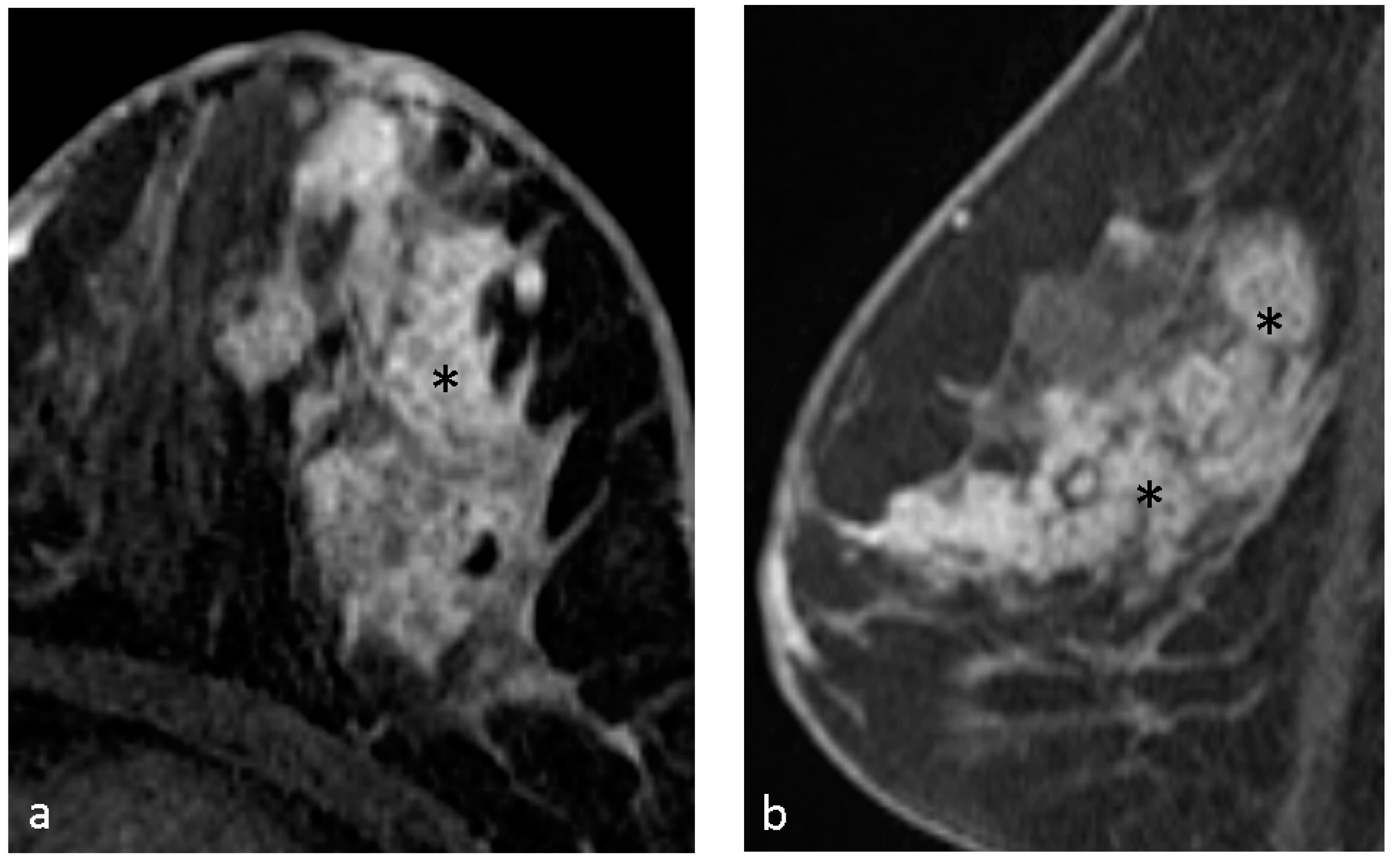 Diagnostics 14 00747 g002