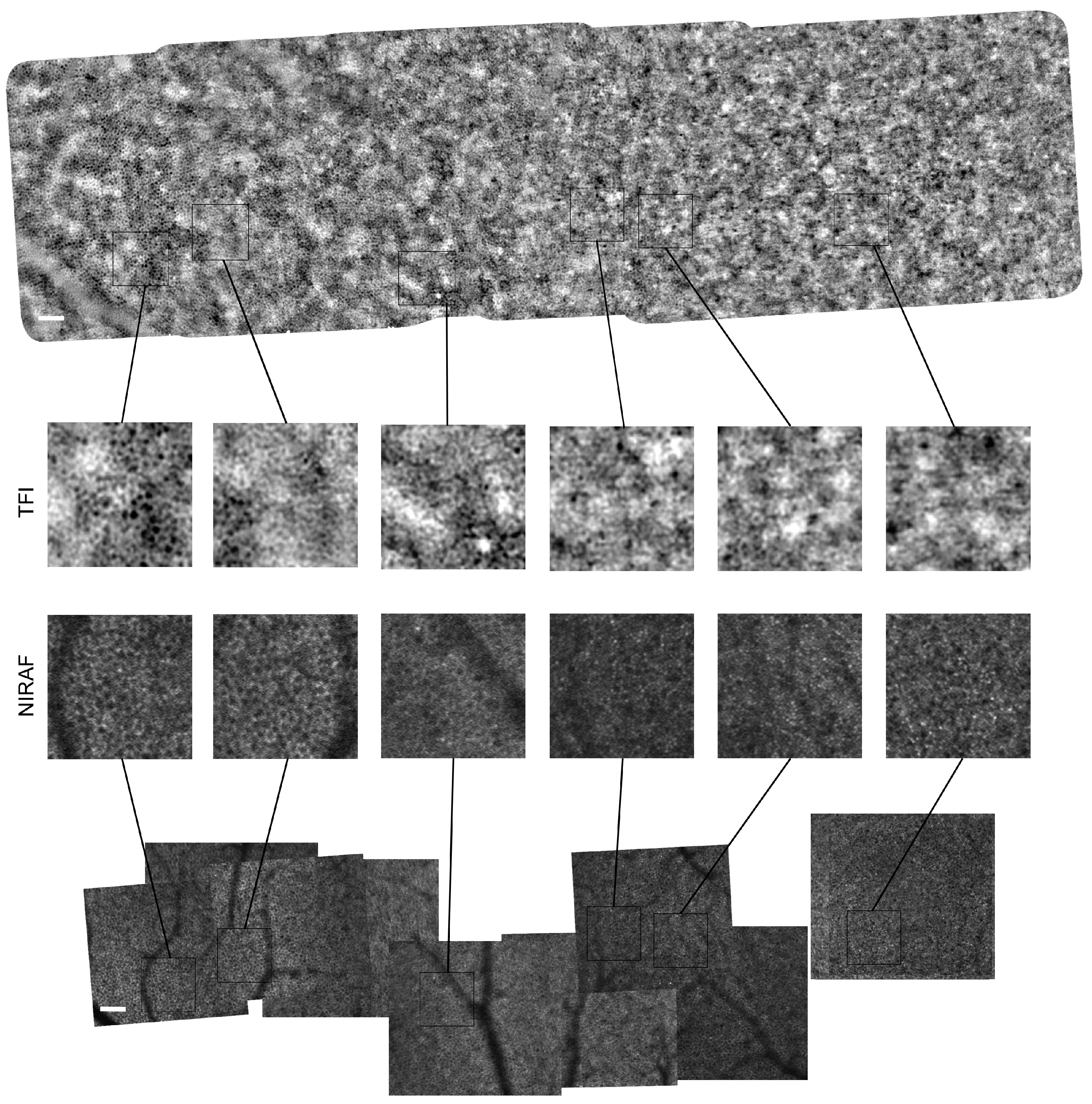 Diagnostics 14 00768 g002