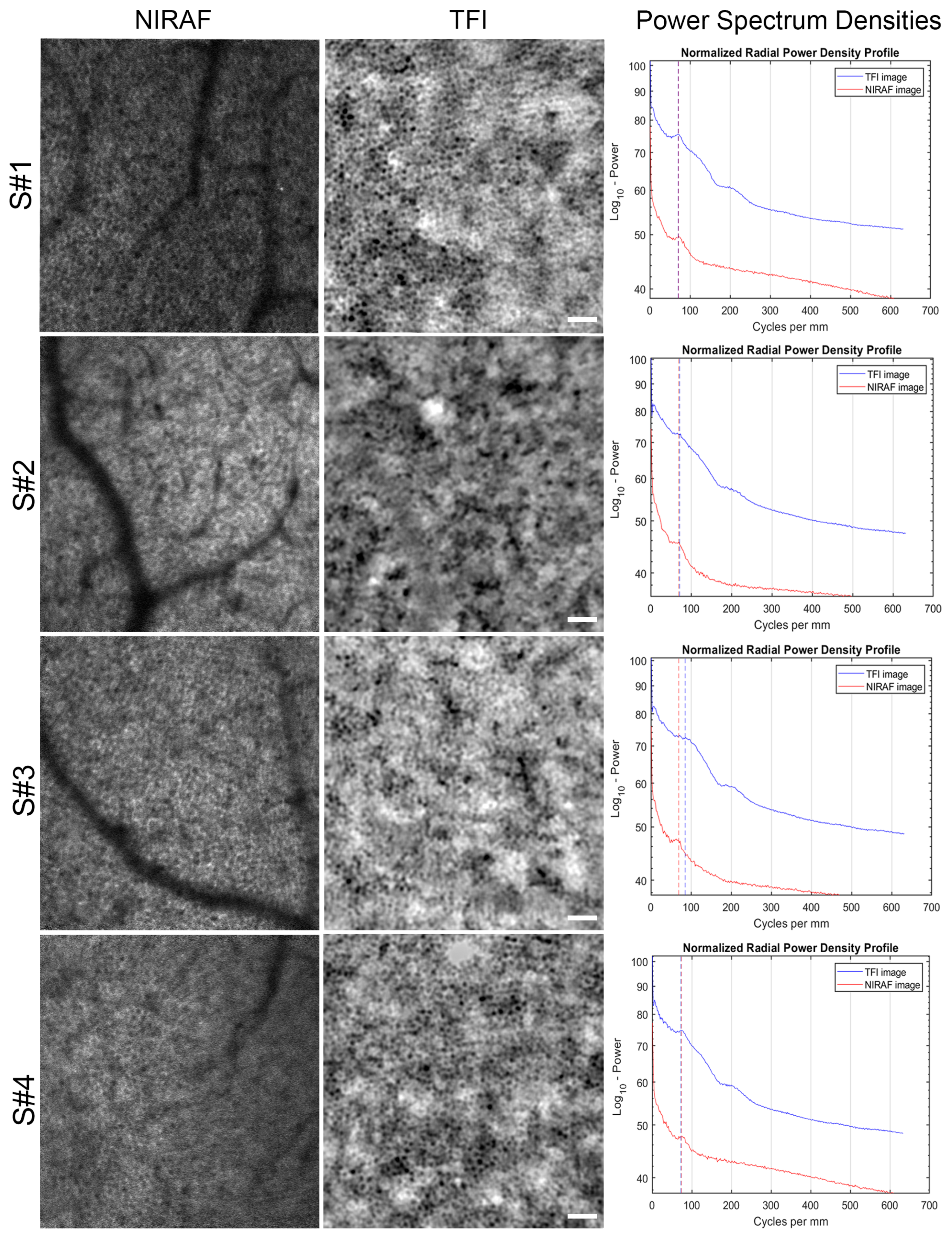 Diagnostics 14 00768 g003