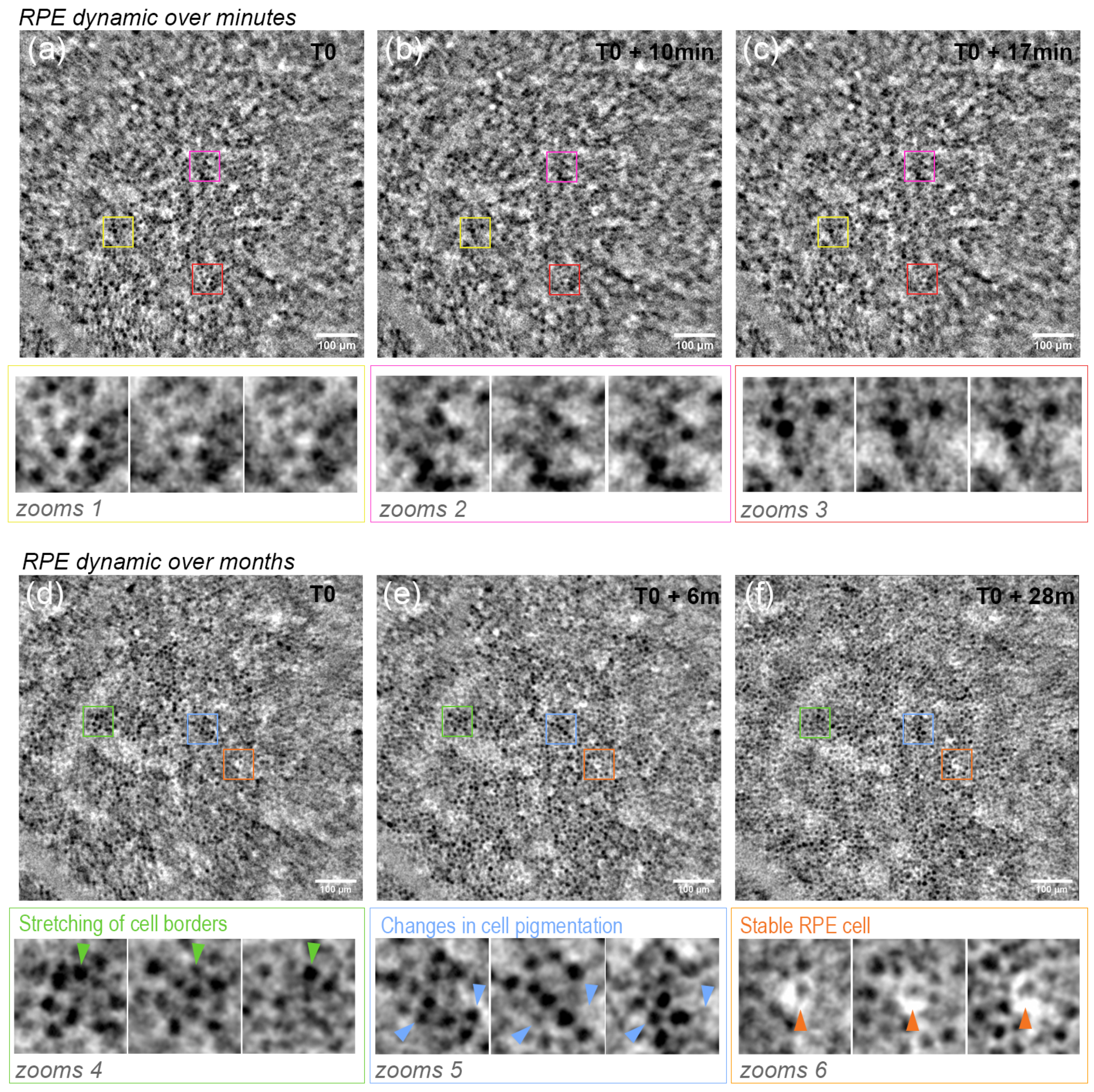 Diagnostics 14 00768 g005