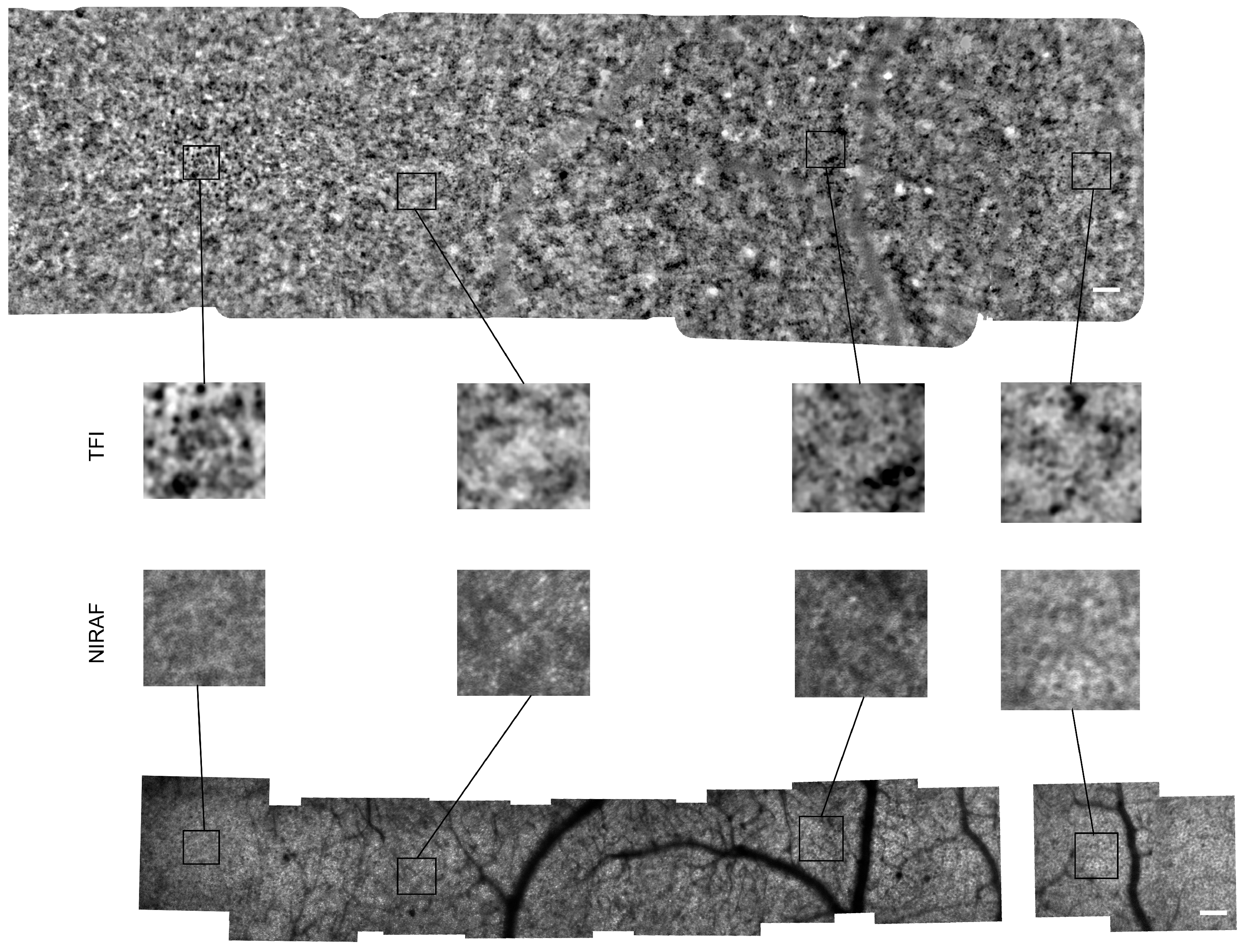 Diagnostics 14 00768 g0a1