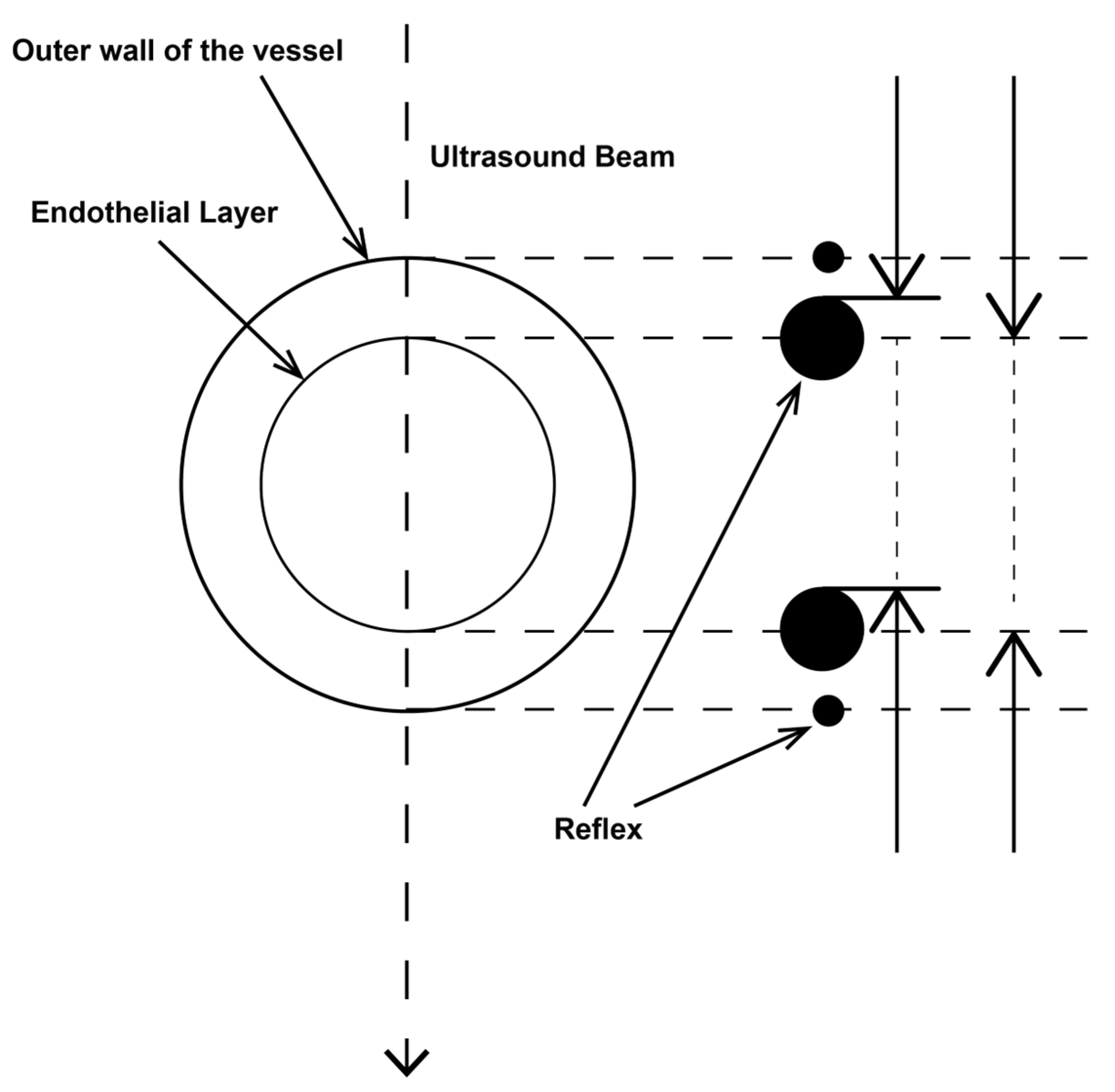 Diagnostics 14 00778 g001 Diagnostics 14 00778 g001