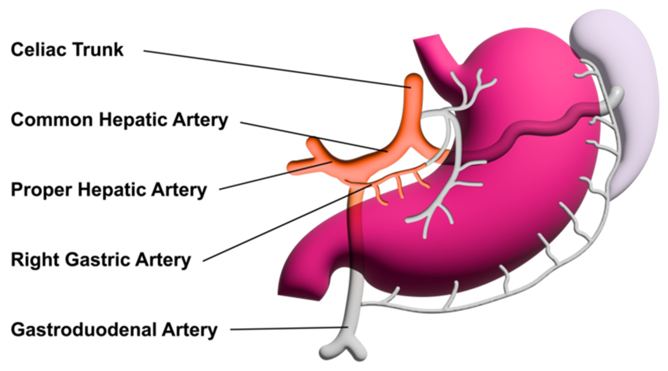 Diagnostics 14 00778 g002 Diagnostics 14 00778 g002