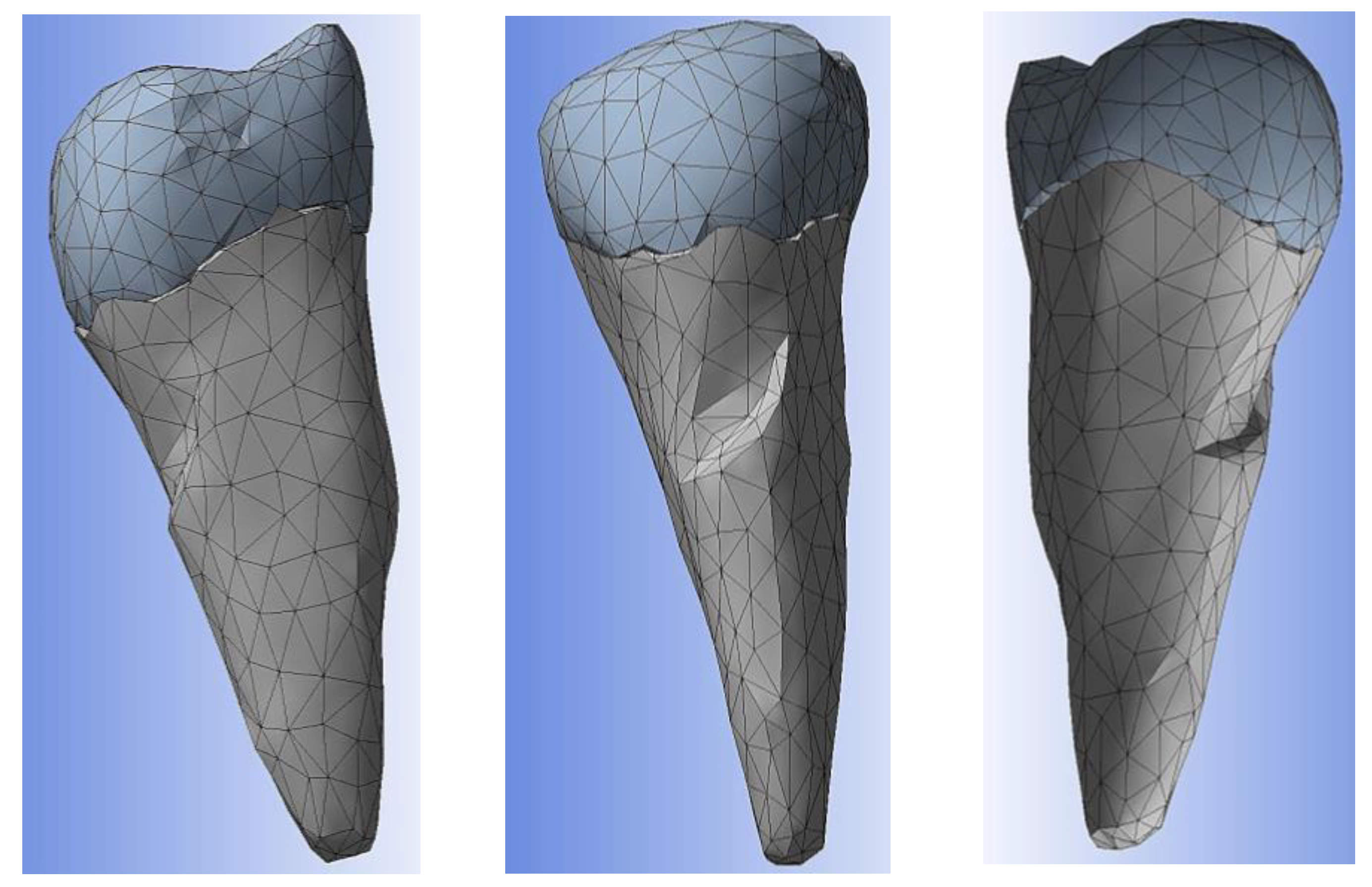 Diagnostics 14 00788 g010