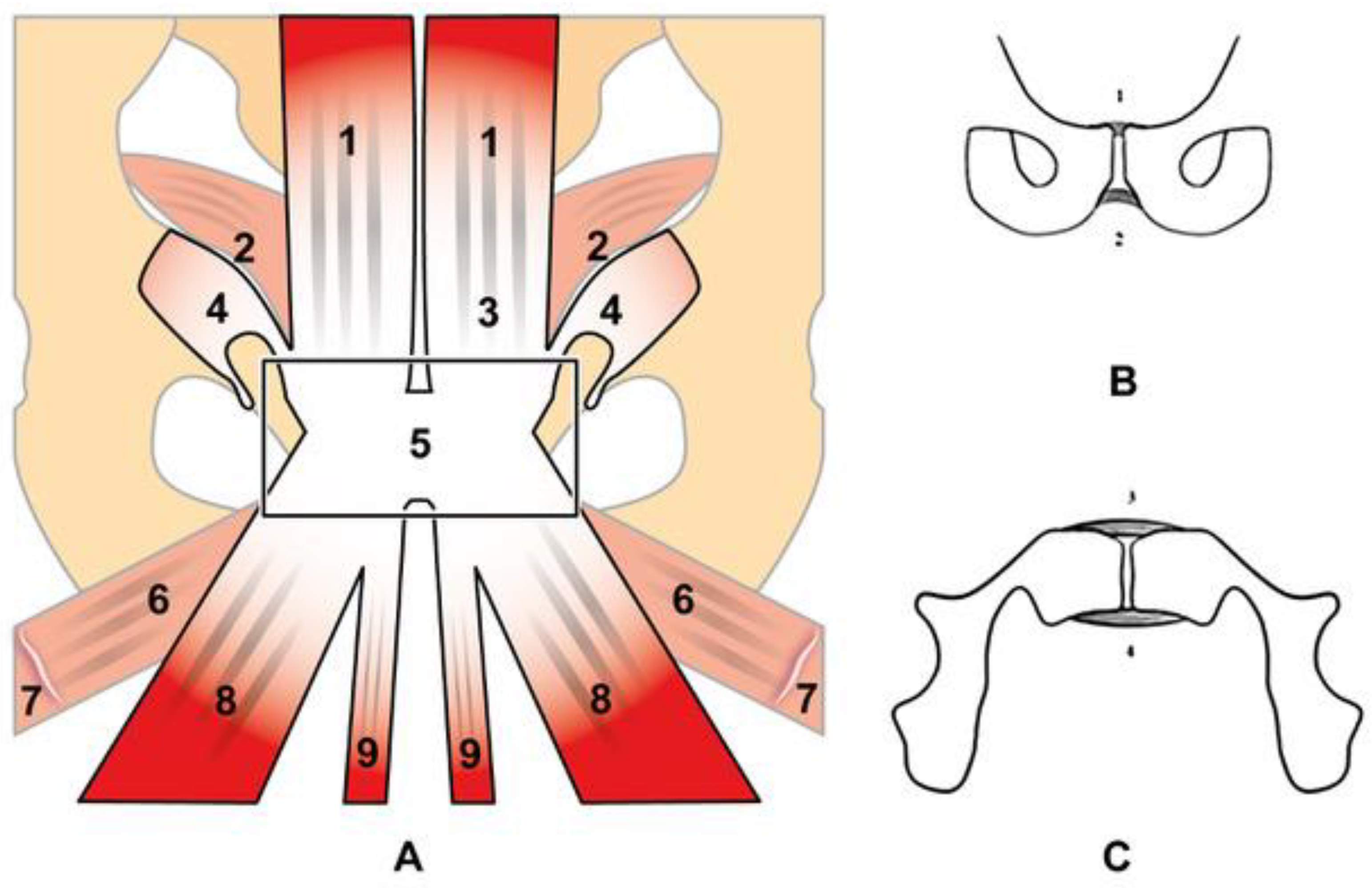 Diagnostics 14 00814 g001