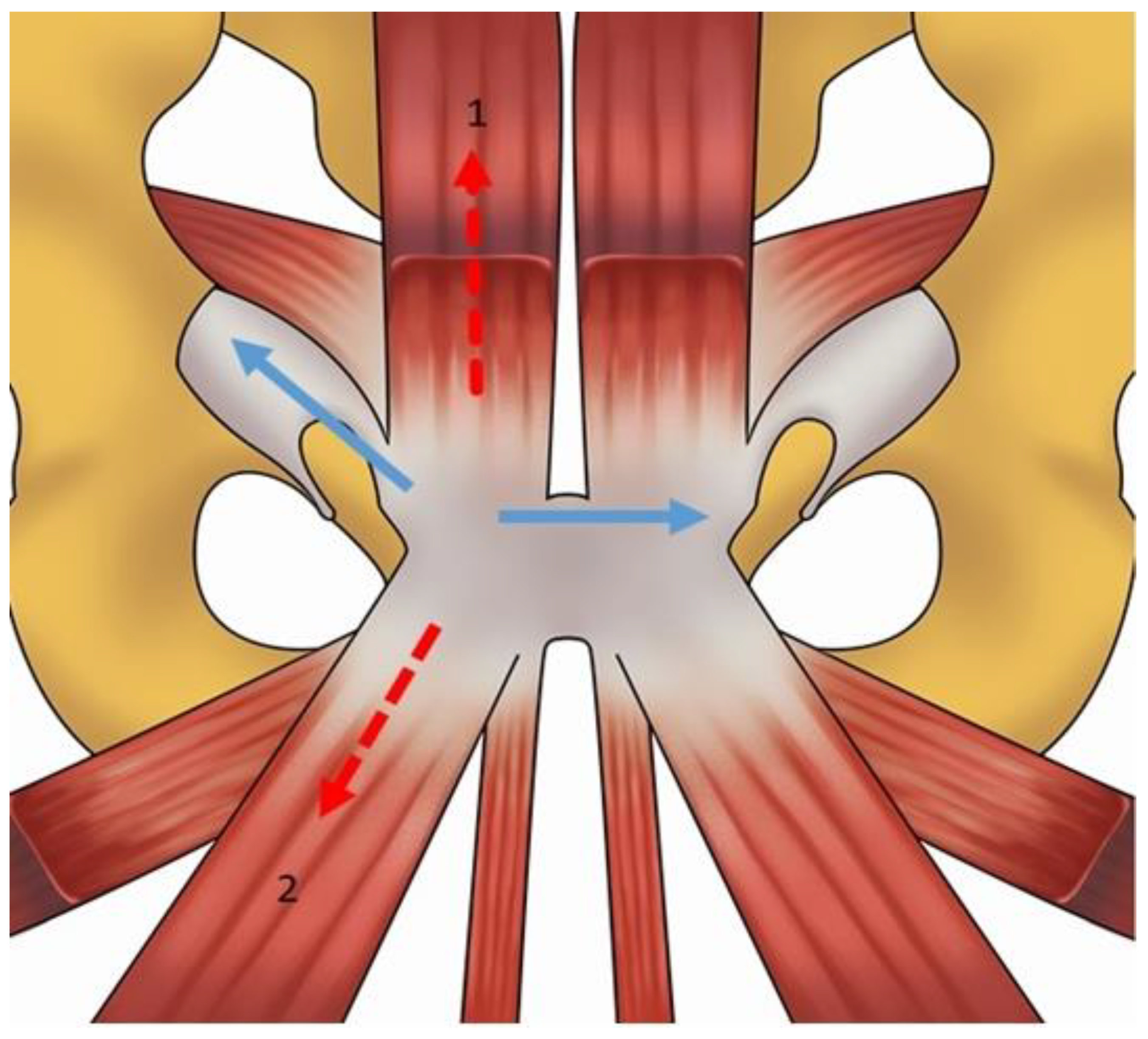 Diagnostics 14 00814 g002