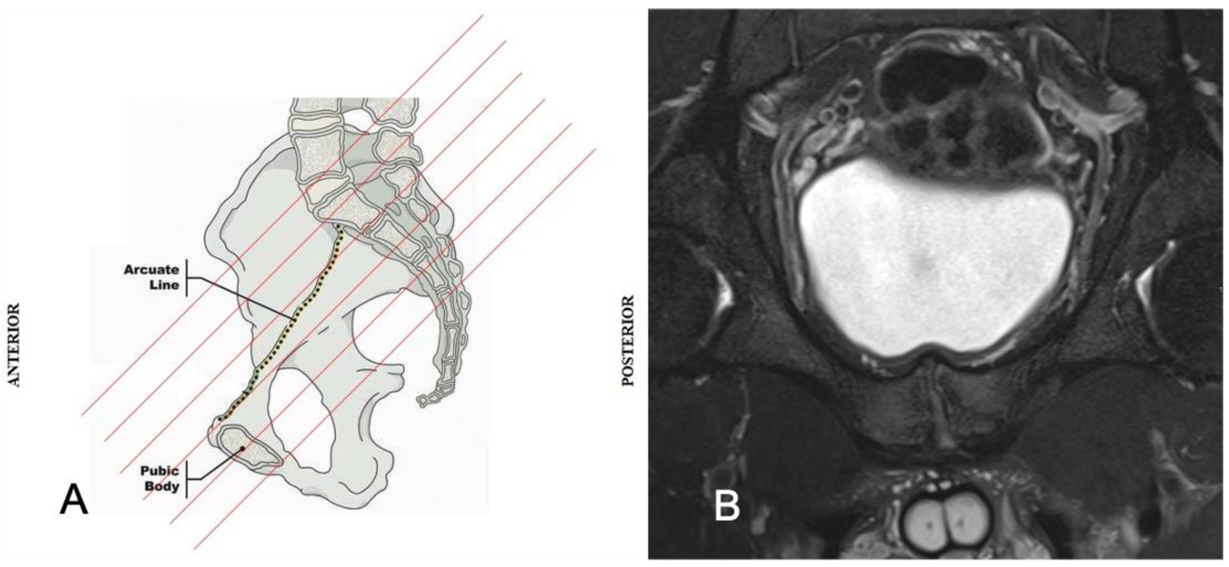 Diagnostics 14 00814 g004