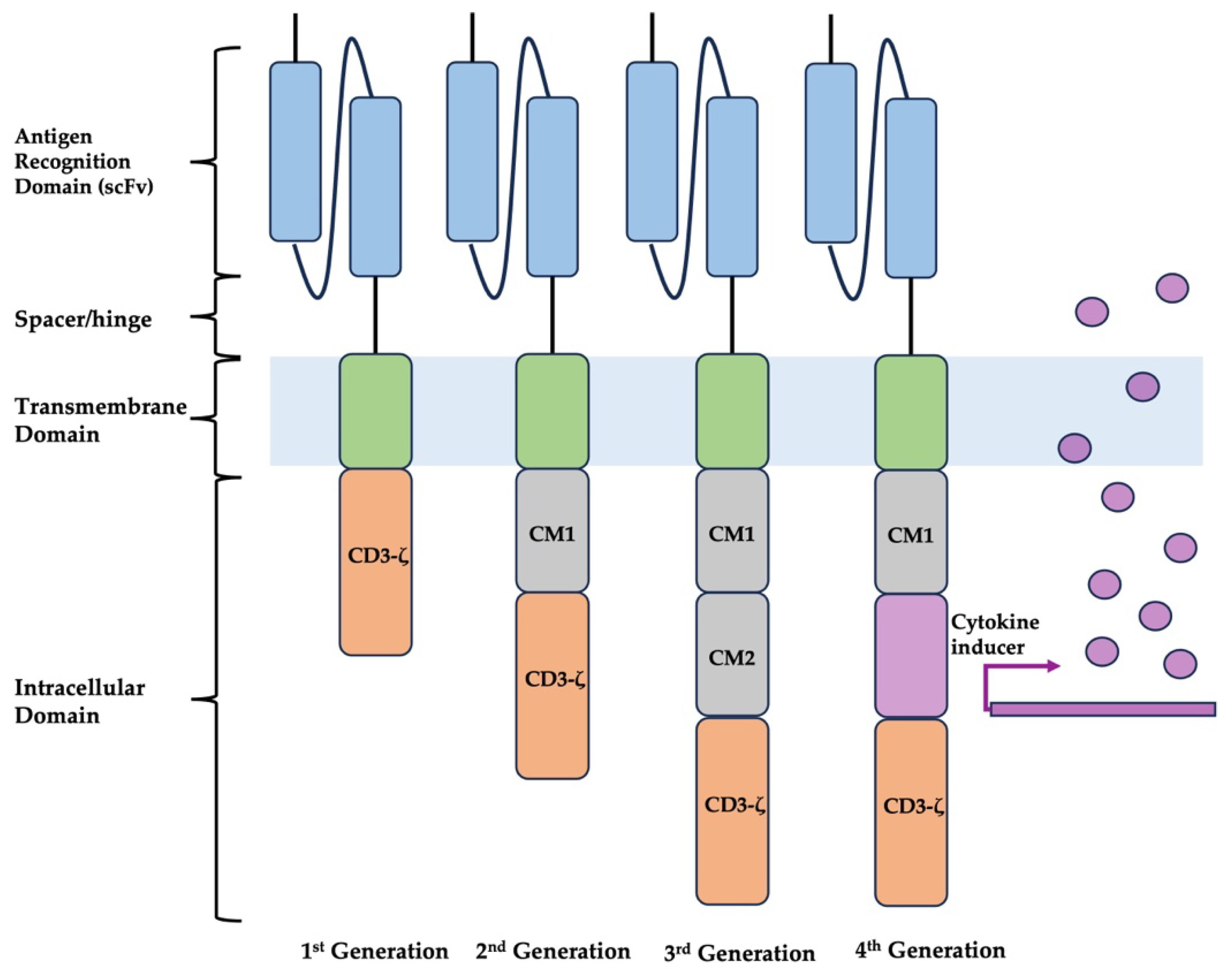 Diagnostics 14 00819 g001