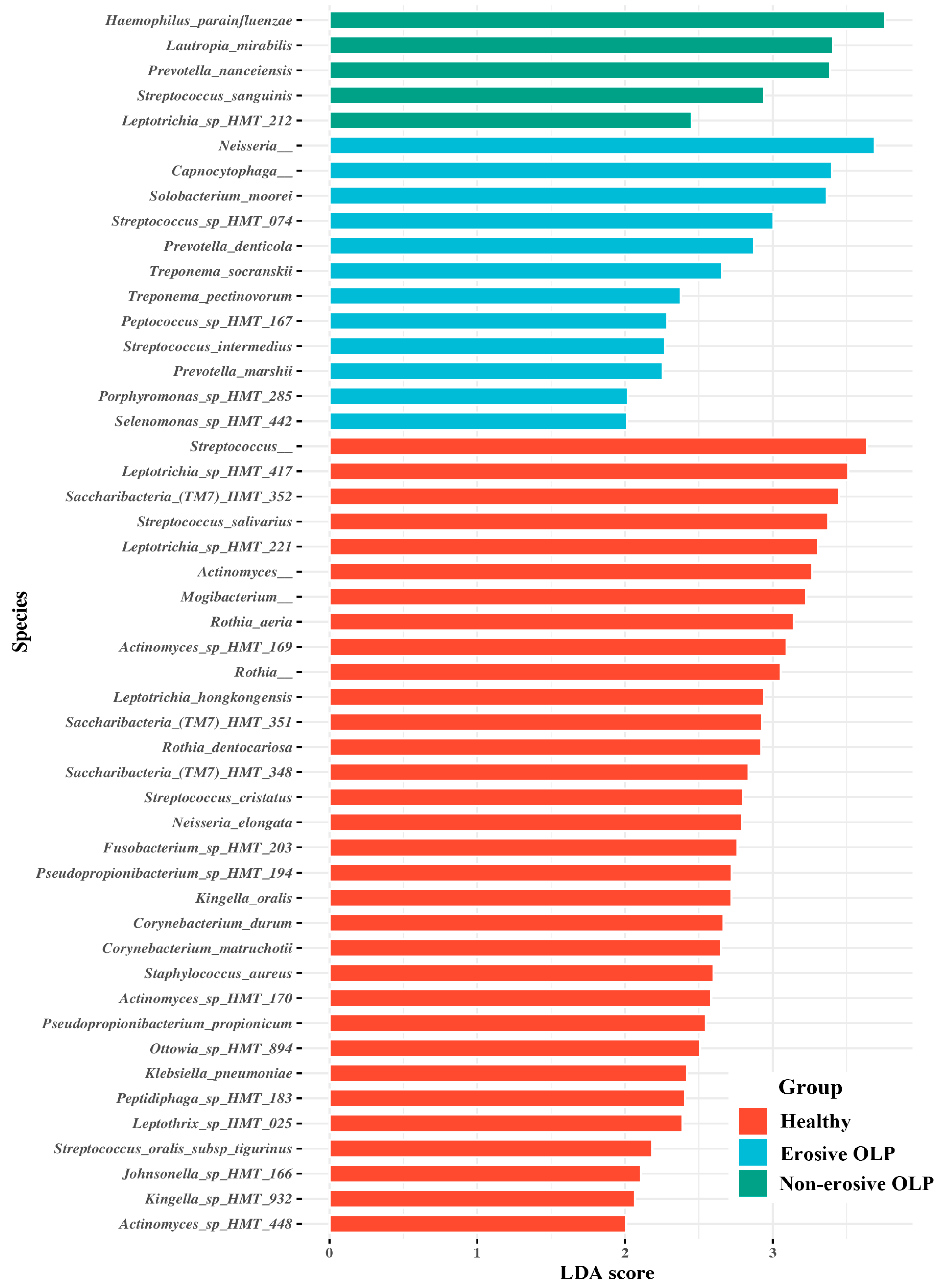 Diagnostics 14 00828 g003