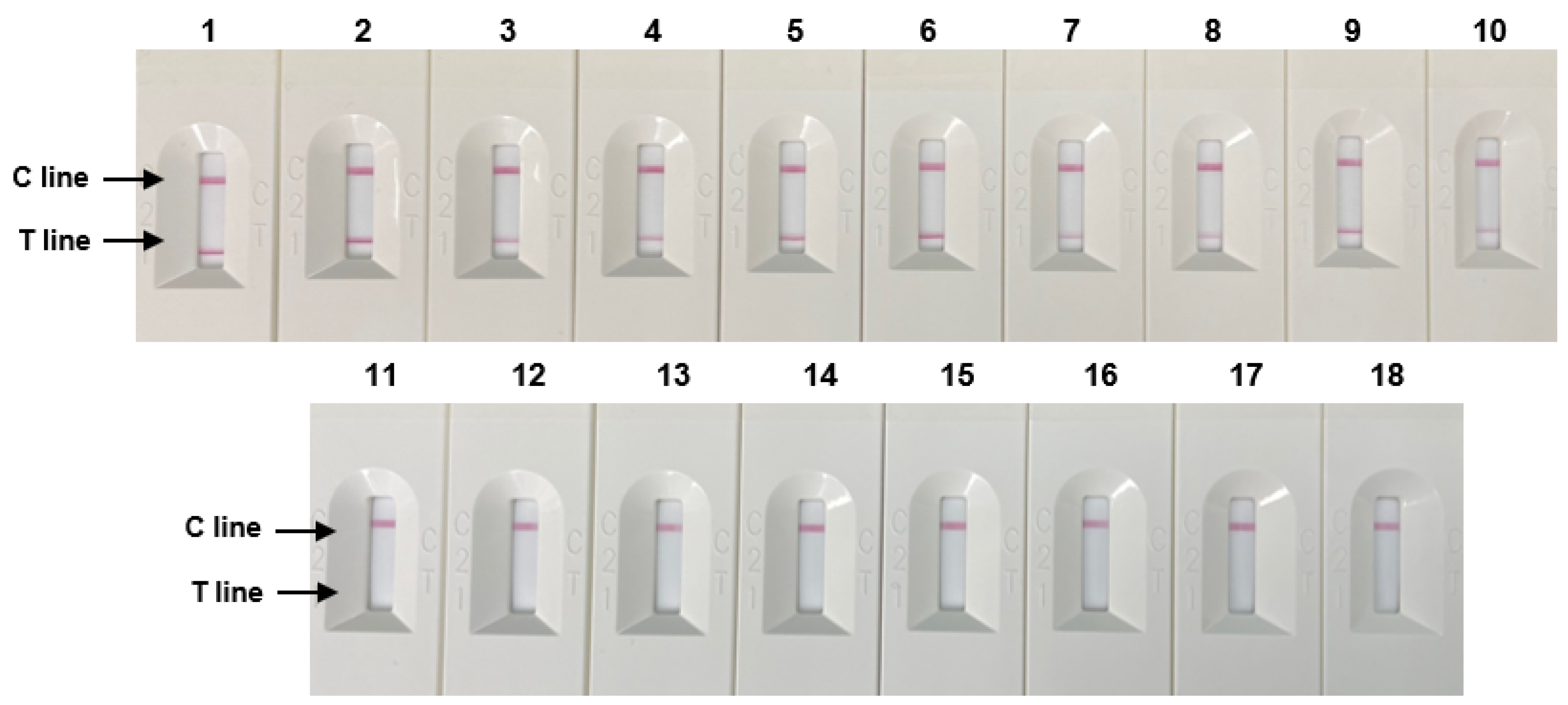 Diagnostics 14 00831 g005