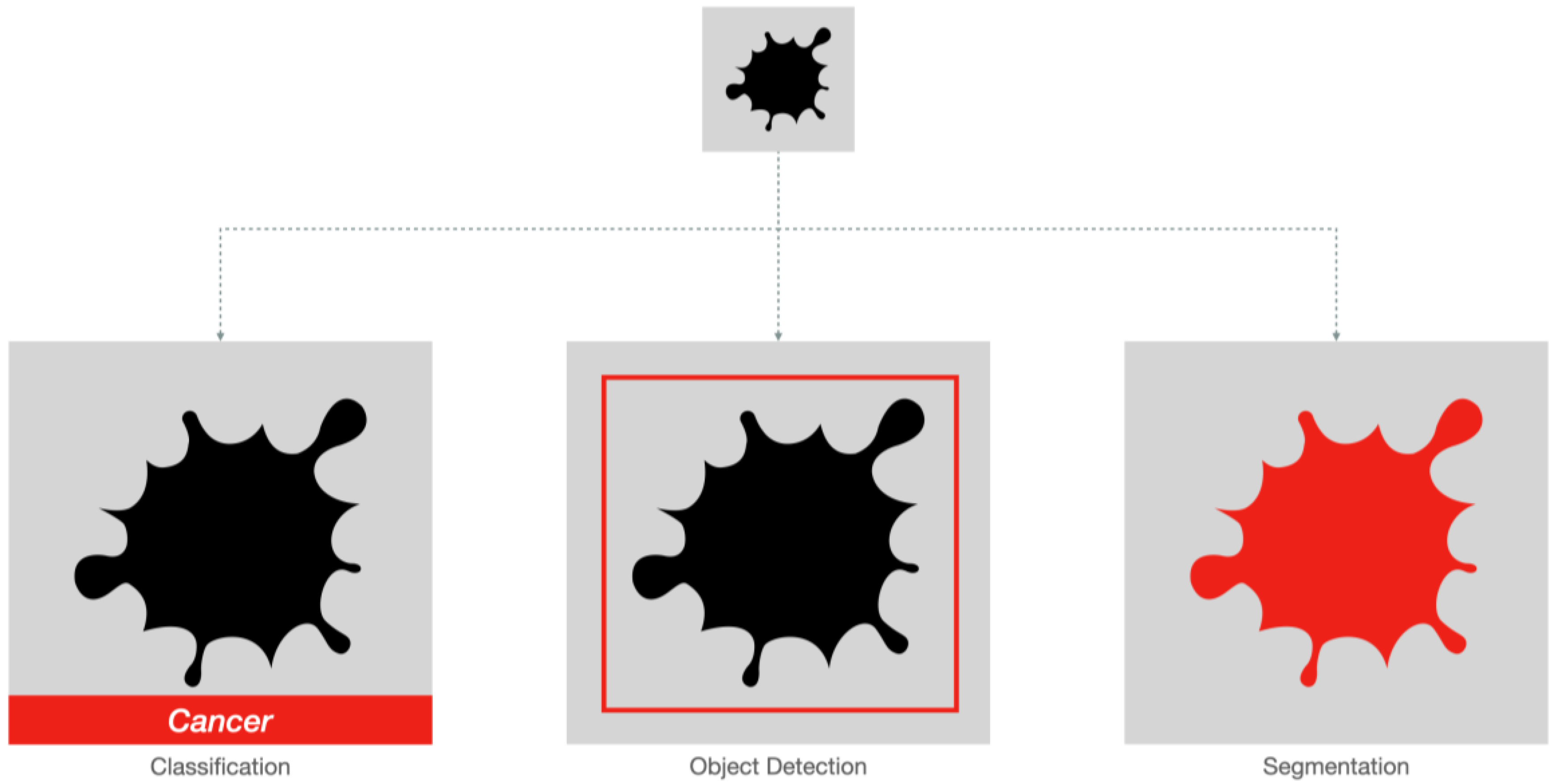 Diagnostics 14 00848 g003
