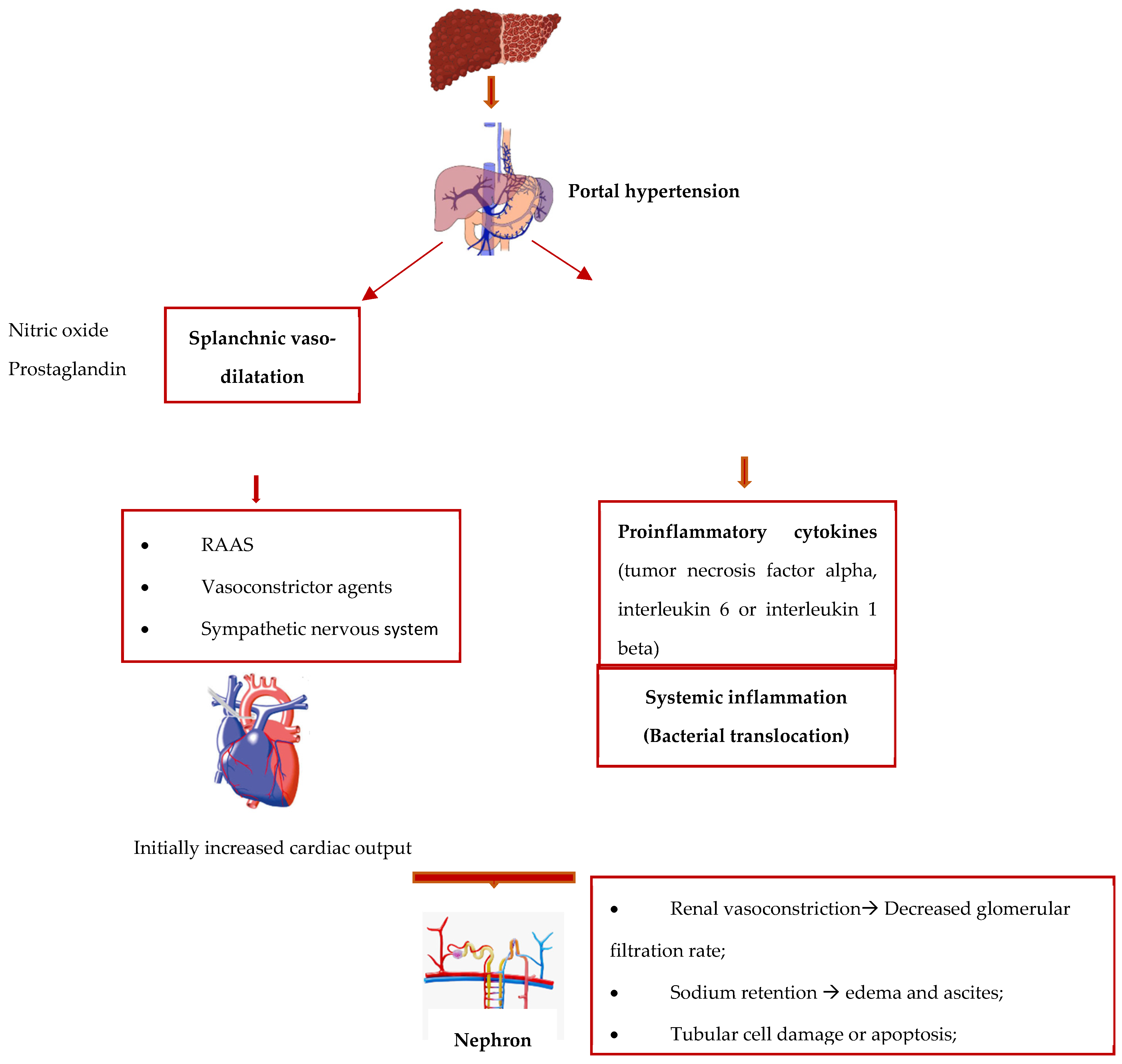 Diagnostics 14 00938 g002