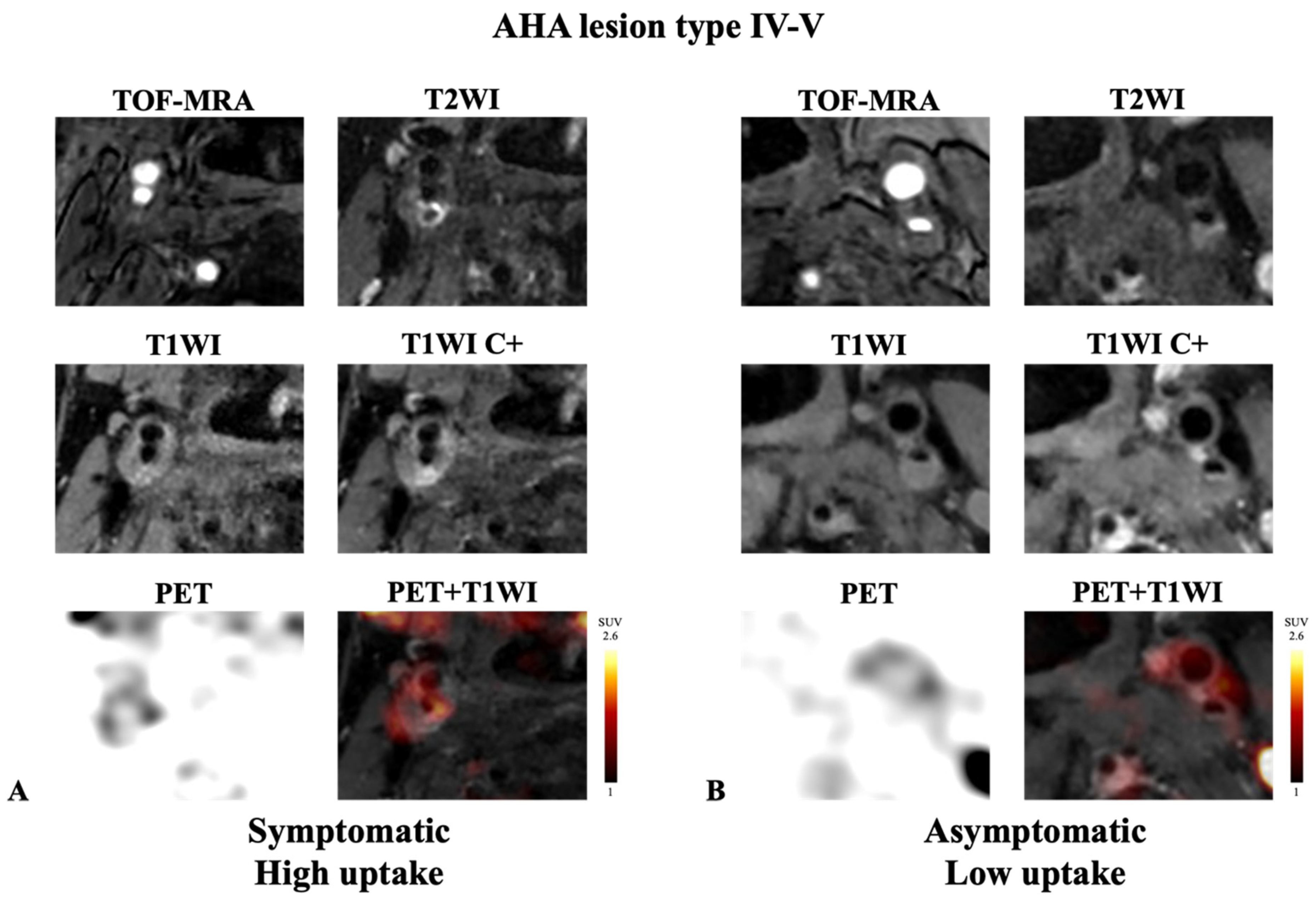 Diagnostics 14 01006 g003